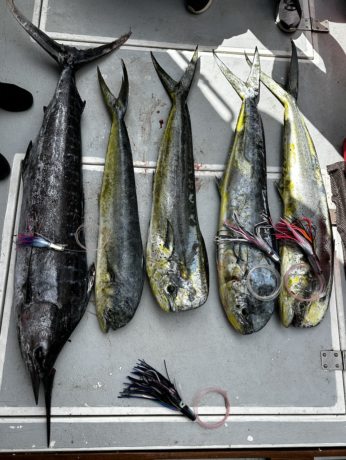 Screen Shot 2026-01-09 at 6.49.16 PM.png