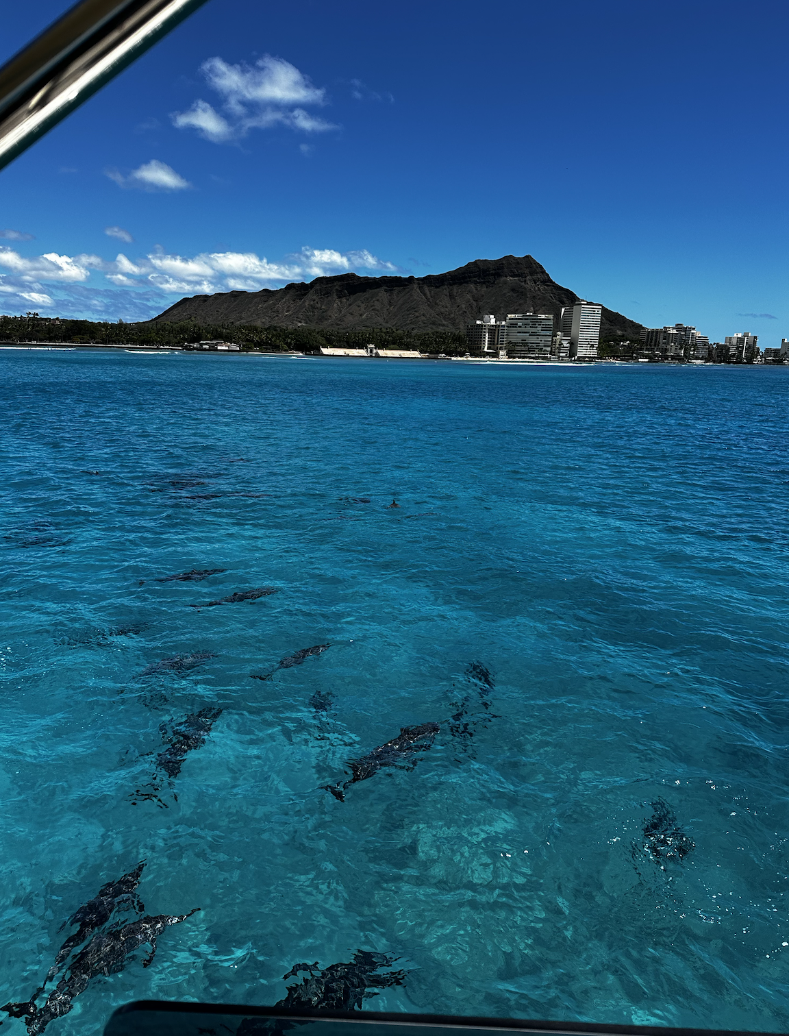 Screen Shot 2026-01-09 at 6.51.37 PM.png