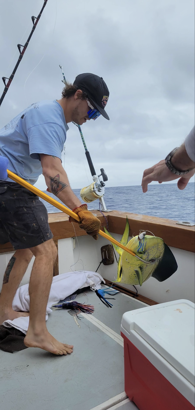 Screen Shot 2026-01-09 at 6.48.54 PM.png