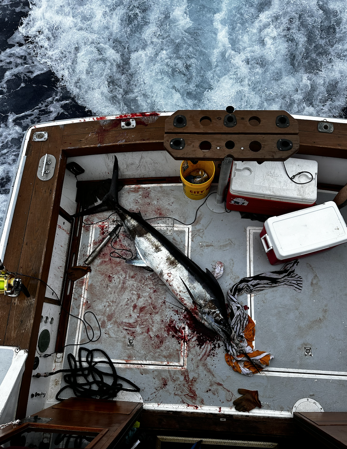 Screen Shot 2026-01-09 at 6.52.15 PM.png