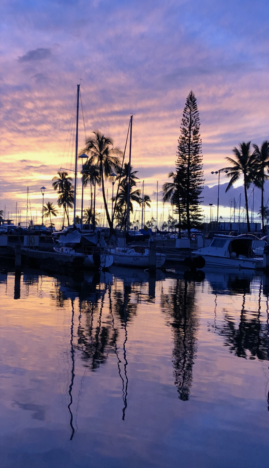 Screen Shot 2026-01-09 at 6.55.55 PM.png