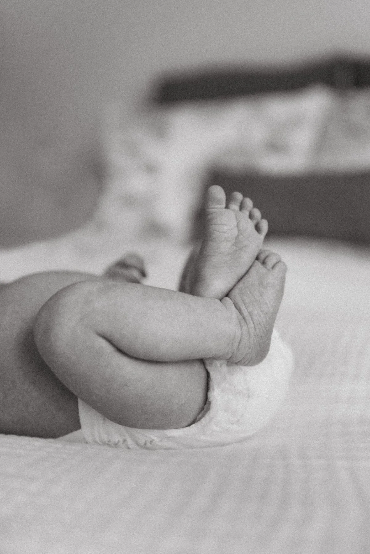 A moose walking through tall grass on a sandy hill under a partly cloudy sky, with a bird flying overhead.
