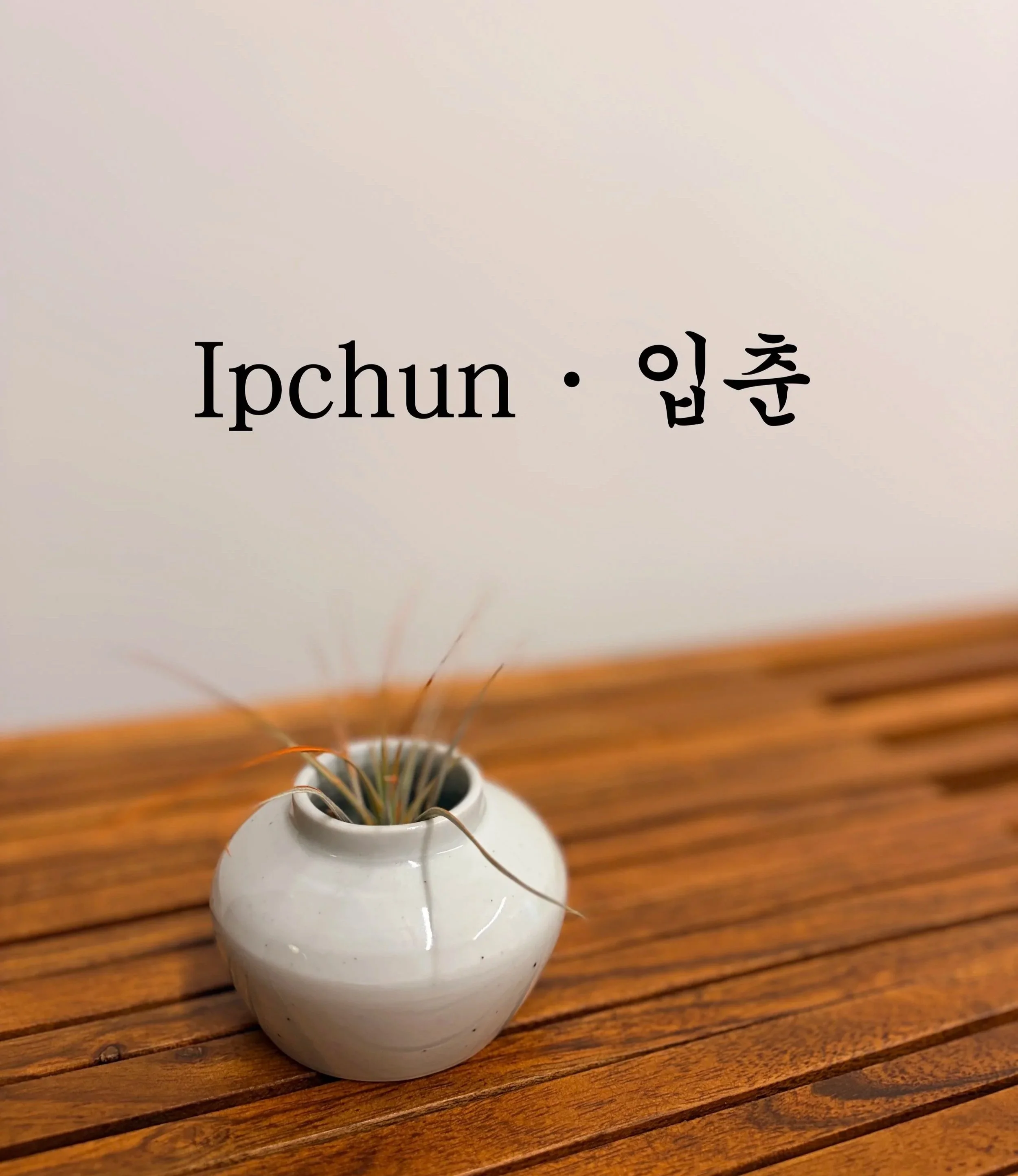 Ipchun 입춘 — Beginning of Spring in Korean Medicine