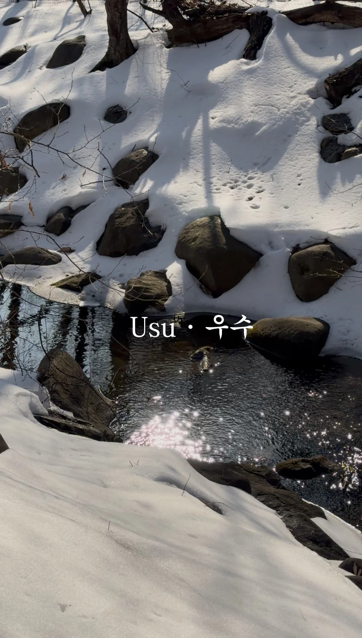 Usu 우수(雨水): Rain Water &amp; Softening Into Spring