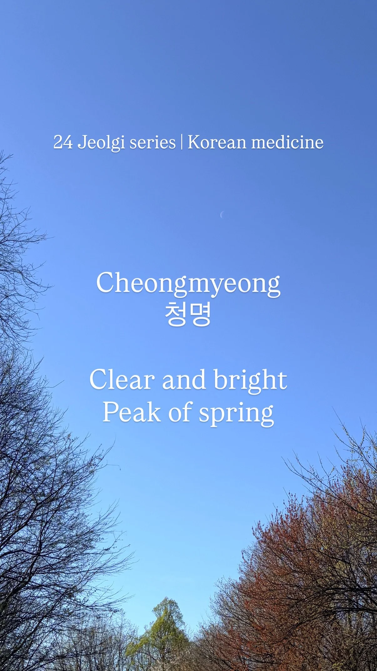 Cheongmyeong (청명): Clear Brightness and Seasonal Clarity