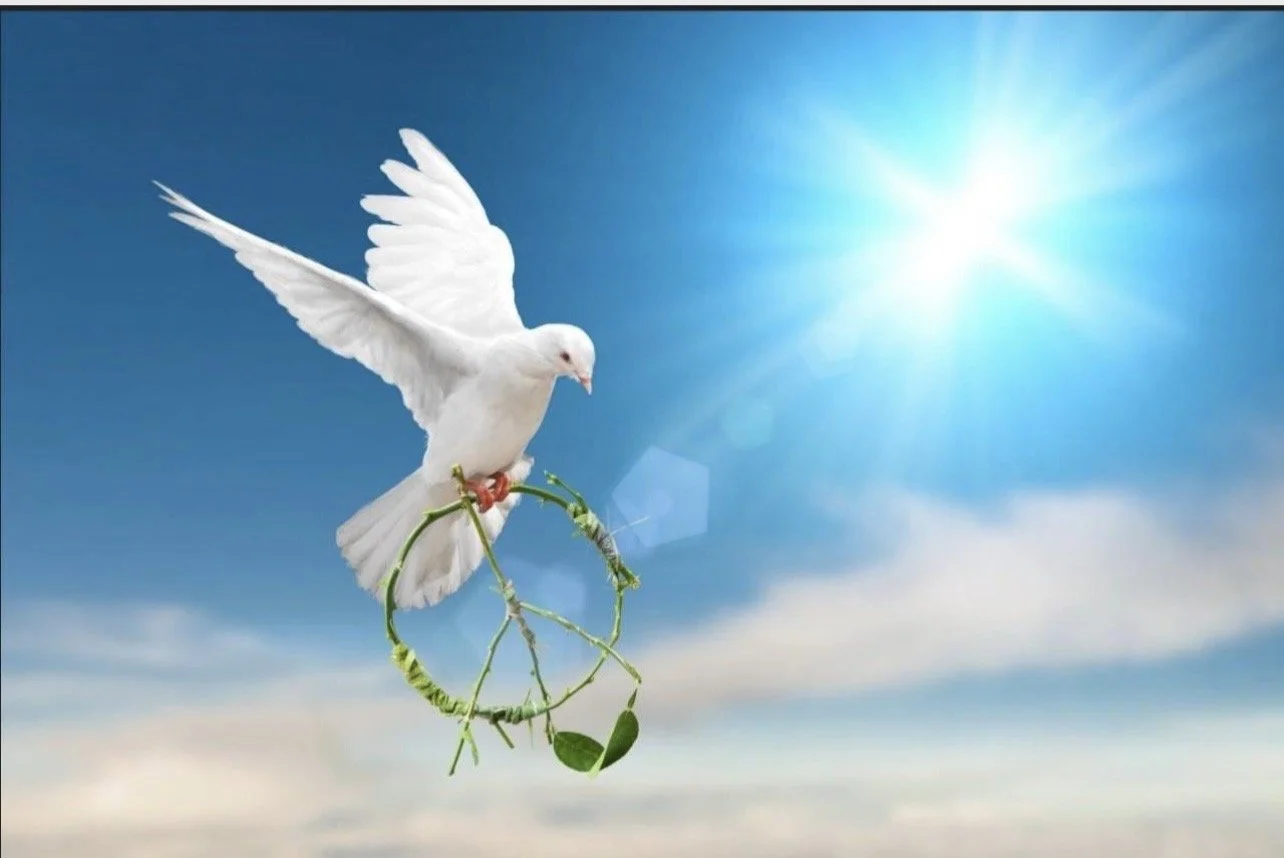 Anxiety Reflection Journal, Social Emotional Learning