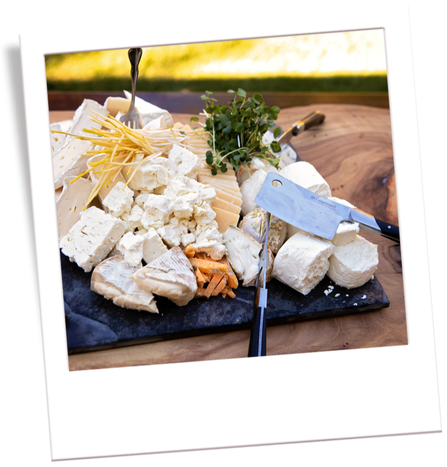 Assorted cheeses, microgreens, and cheese knives on a black cheese board.