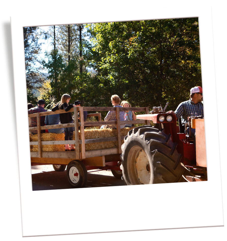 People riding on a tractor with a hay wagon in a rural outdoor setting, surrounded by trees and sunlight.