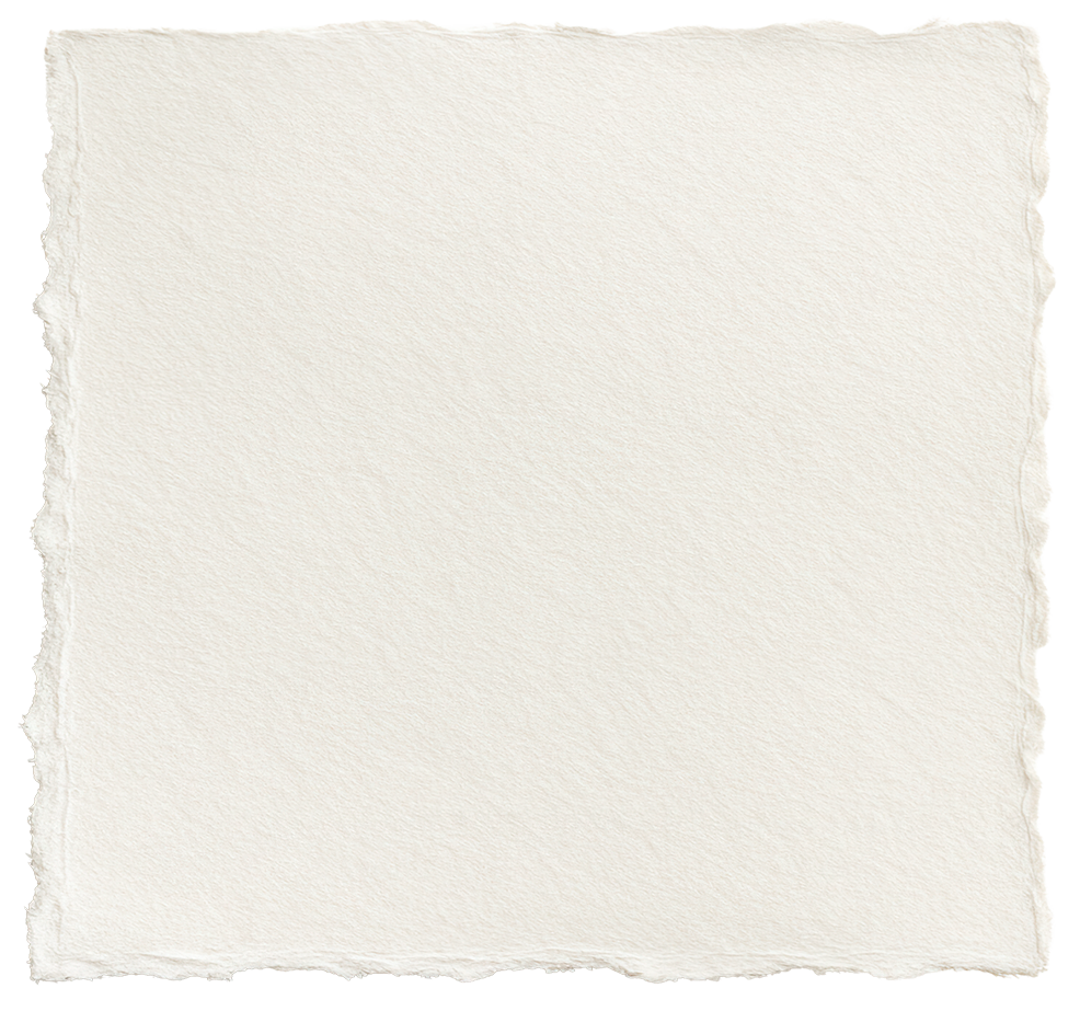 A blank, textured piece of paper with torn edges on a white background.