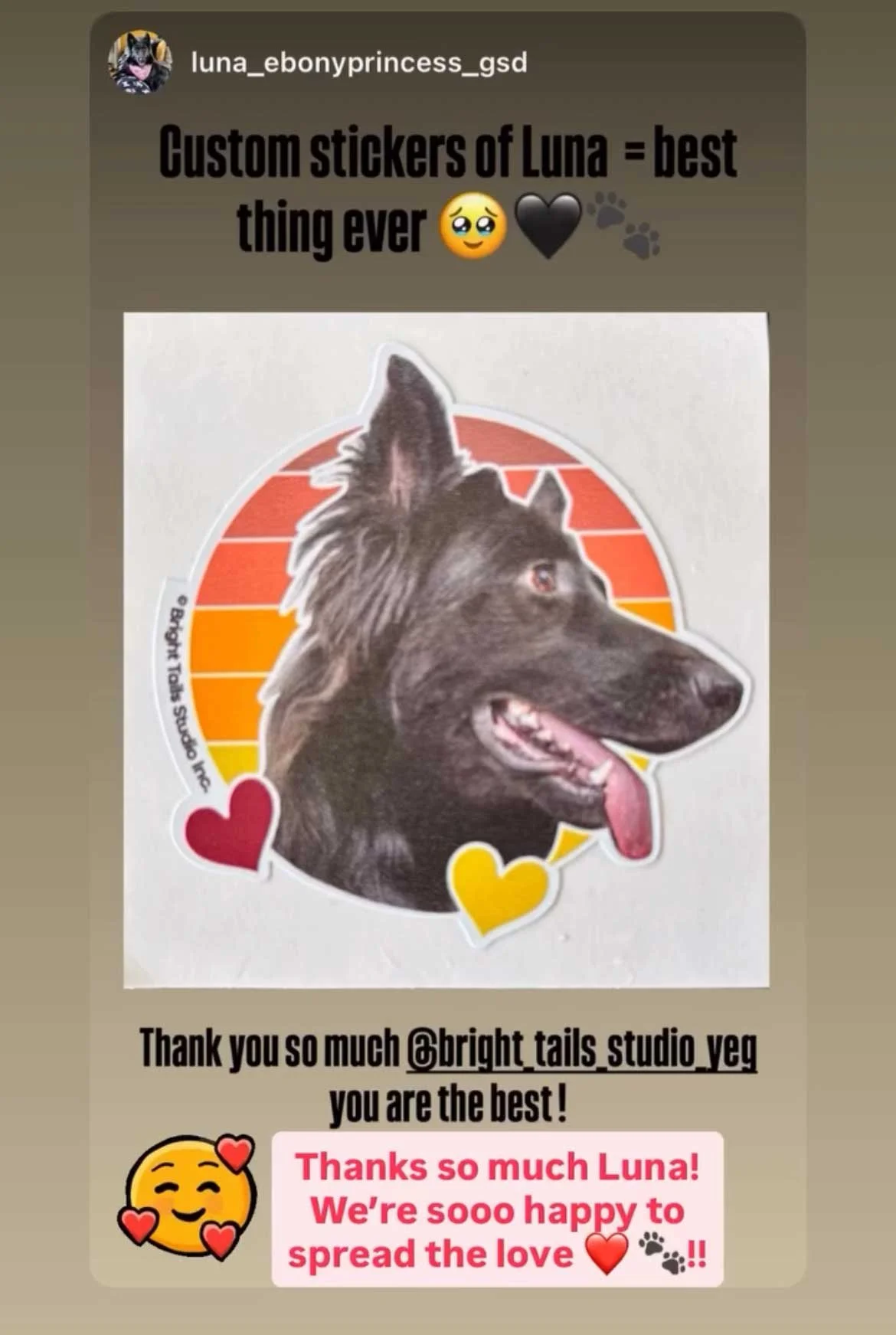 Custom Designs by Bright Tails Studio featuring your Pet Portraits on Stickers!