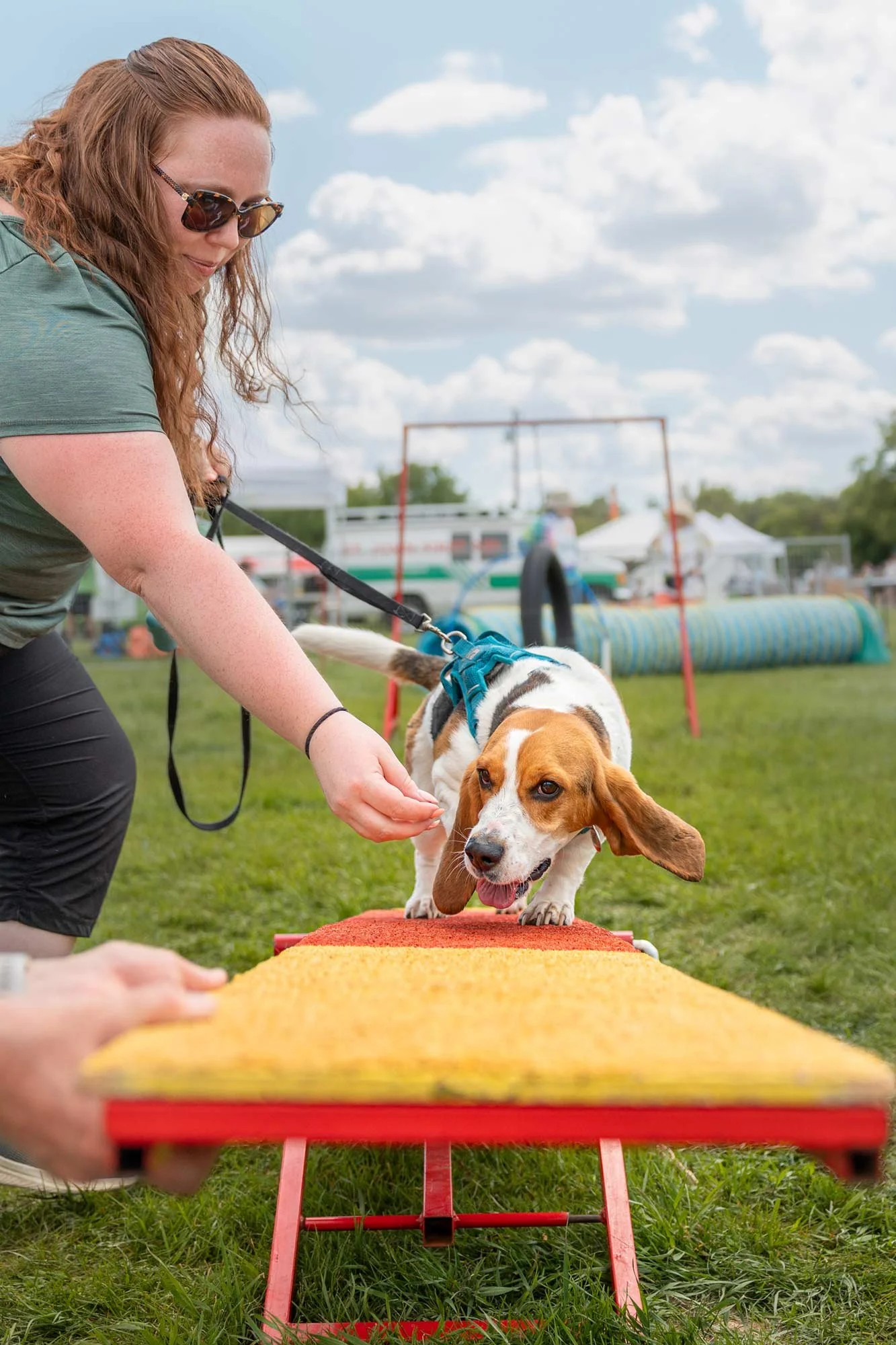 dog-portrait-BTS-Edmonton-0292.jpg