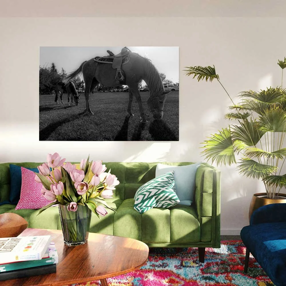 Equine Wall Art