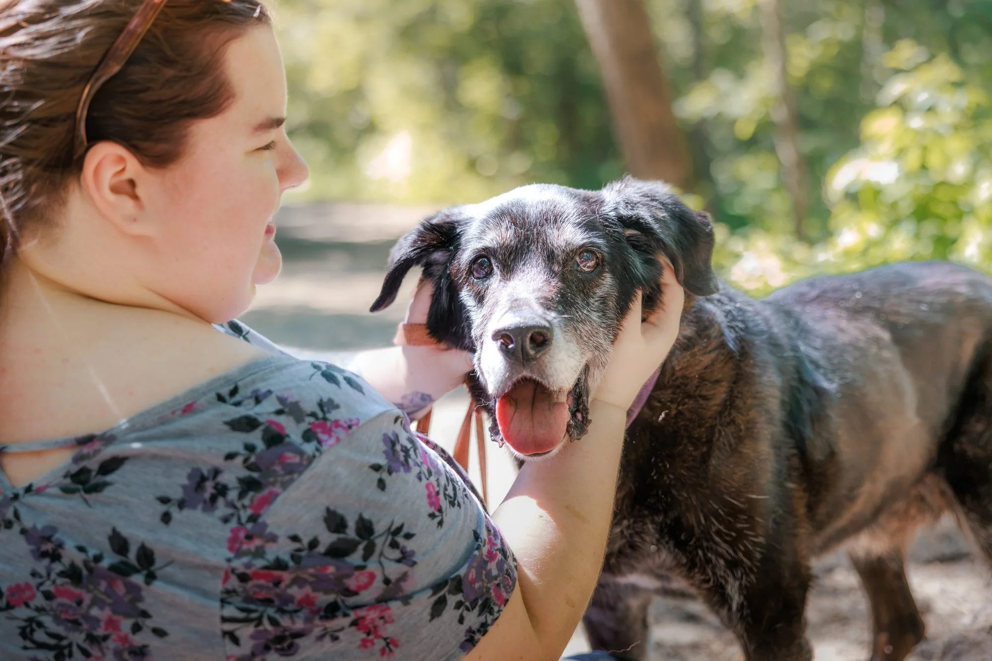 Senior Dog Portrait with Dog Mom