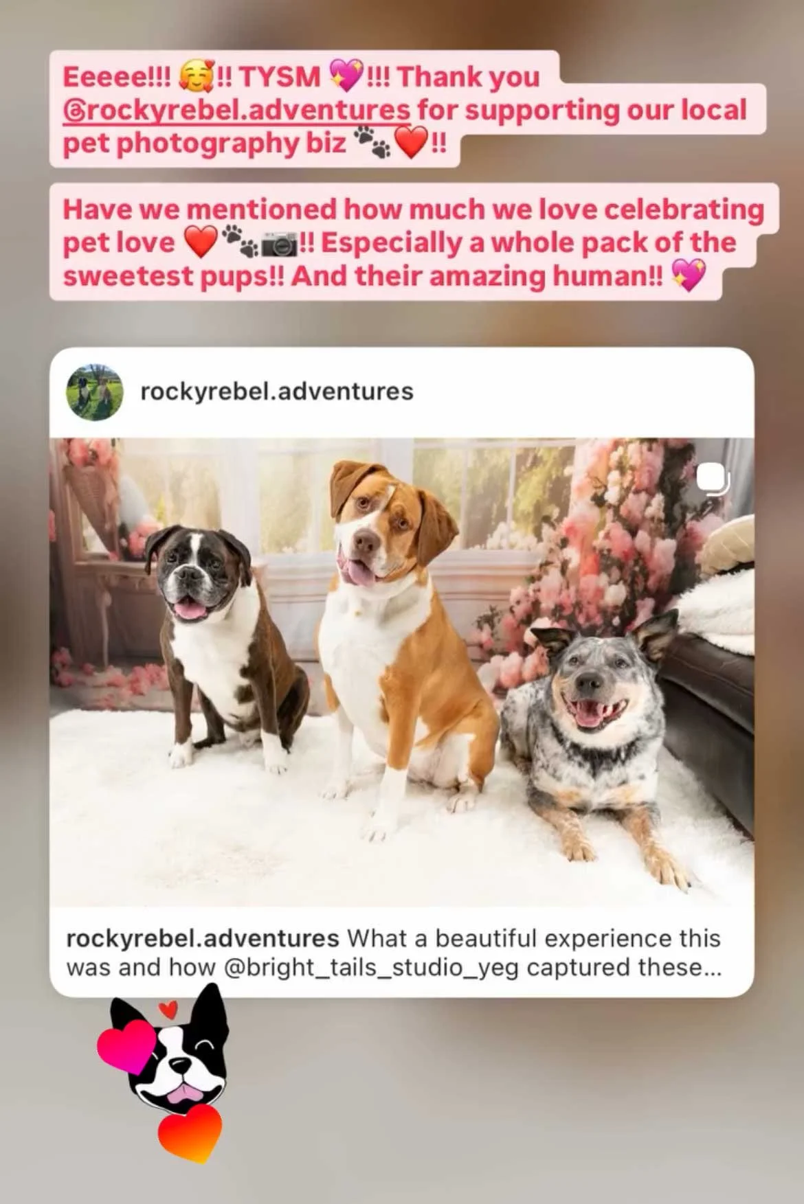 Client reviews