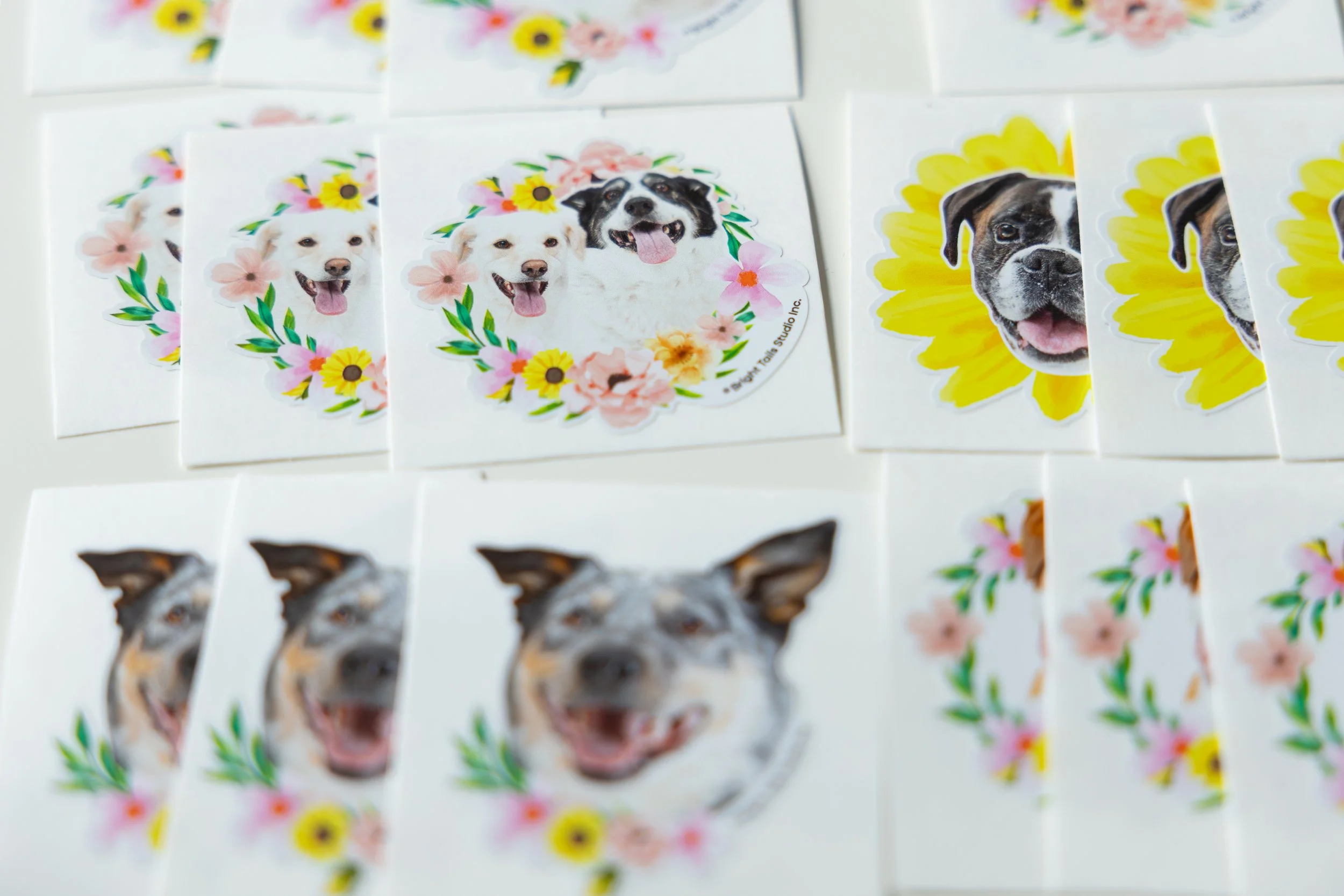 Customized Dog portrait Stickers