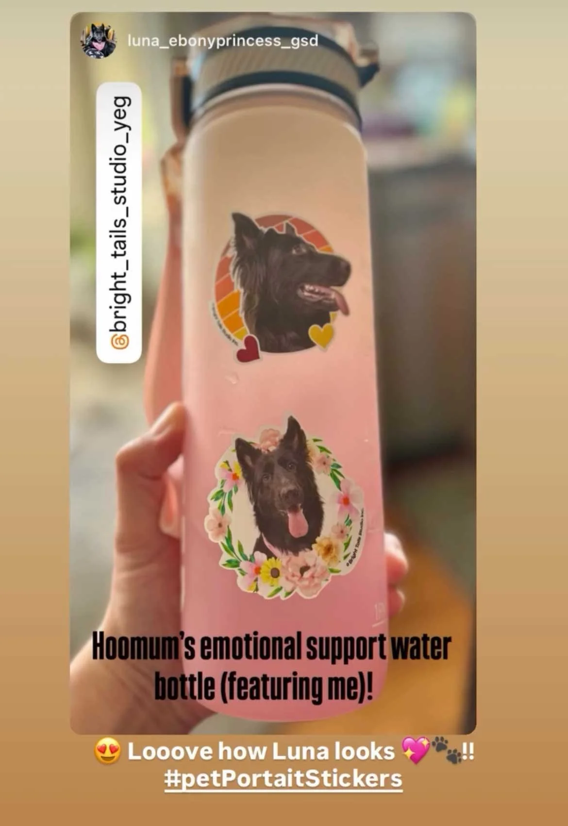 Custom Designs by Bright Tails Studio featuring your Pet Portraits on Stickers!