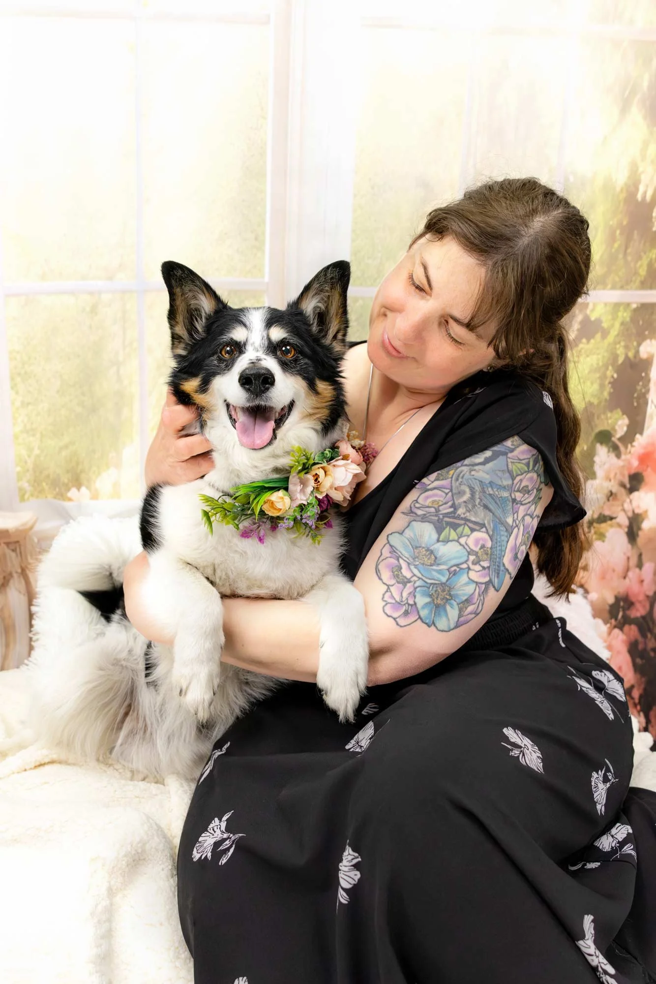 dog-family-portrait-Edmonton-BTS-3363.jpg