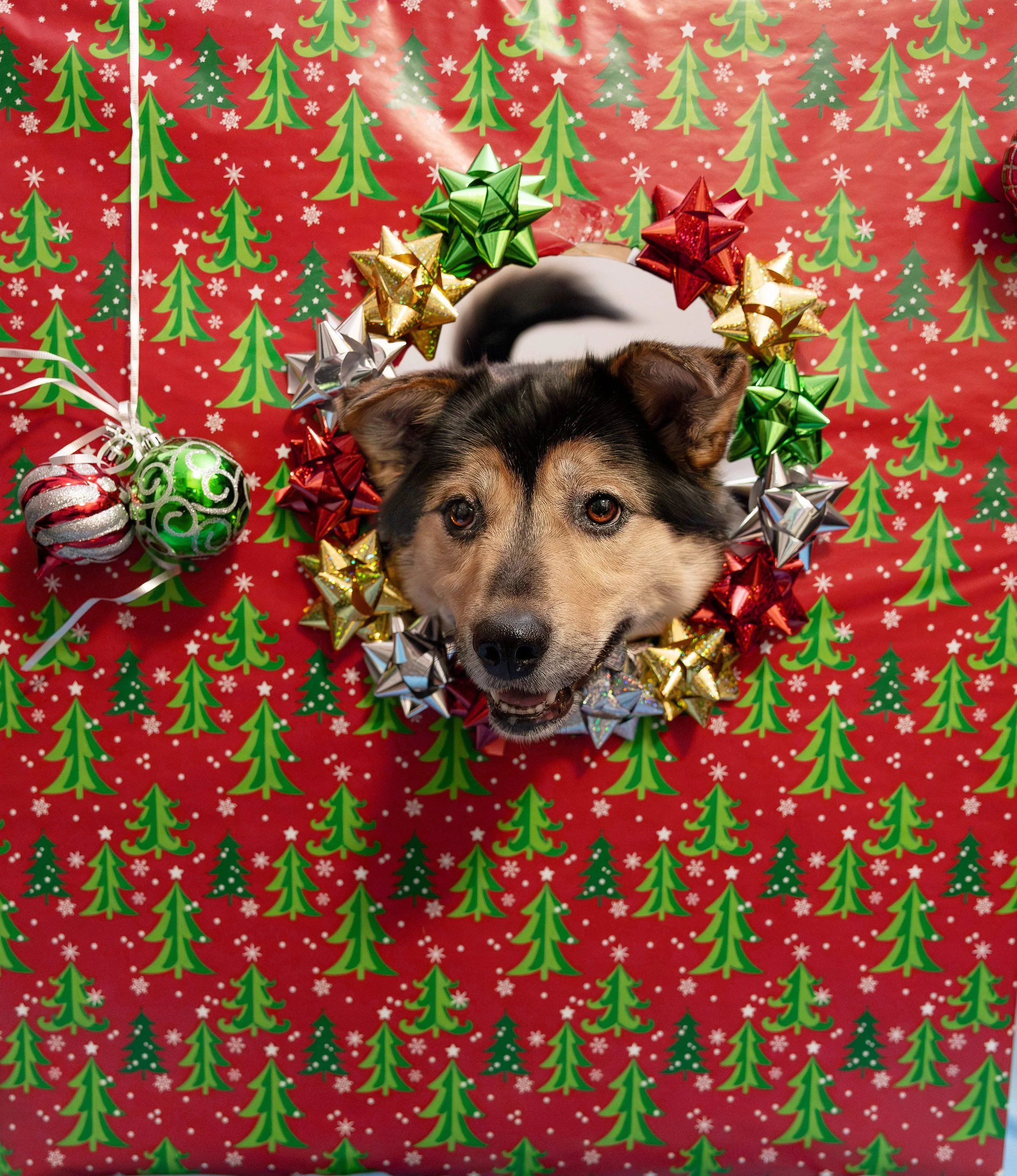 1G4A4850-edit copy.jpg