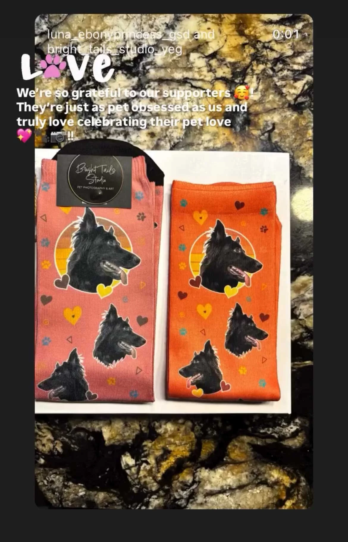 Custom Designs by Bright Tails Studio featuring your Pet Portraits on Socks!