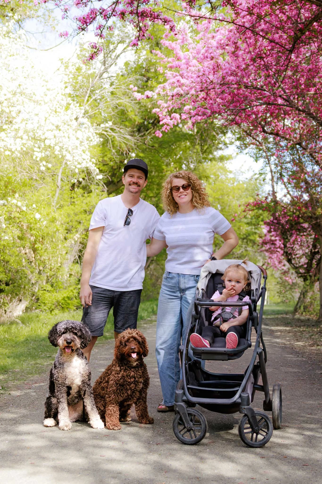 Dog Family Portrait – with Dog Mom, Dog Dad, with two dogs against spring blooms