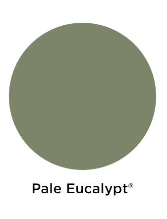 pale eucalyptus.png