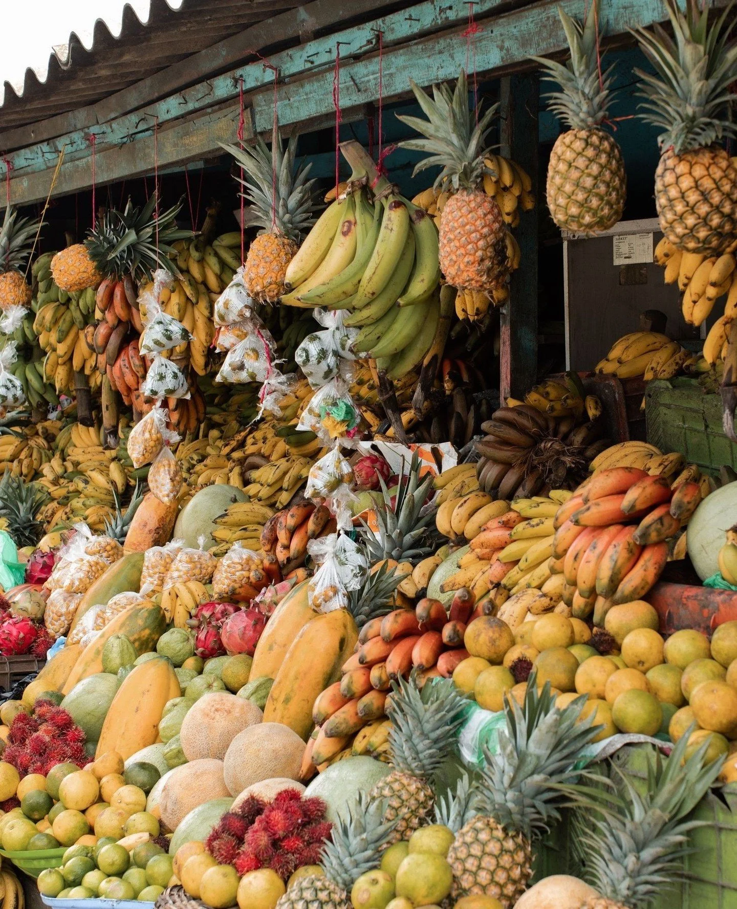 We feed foods that are fresh, local and picked with a purpose.⁠
⁠
⁠
Learn more at RiceBowls.org⁠
#FightHunger #OrphanCrisis #LetsFeedMoreKids #RiceBowlsOrg