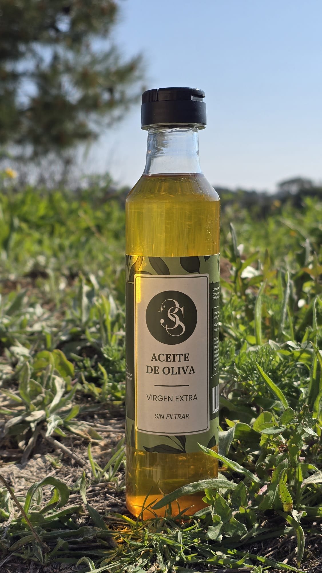 WhatsApp Image 2026-03-24 at 10.03.34.jpeg