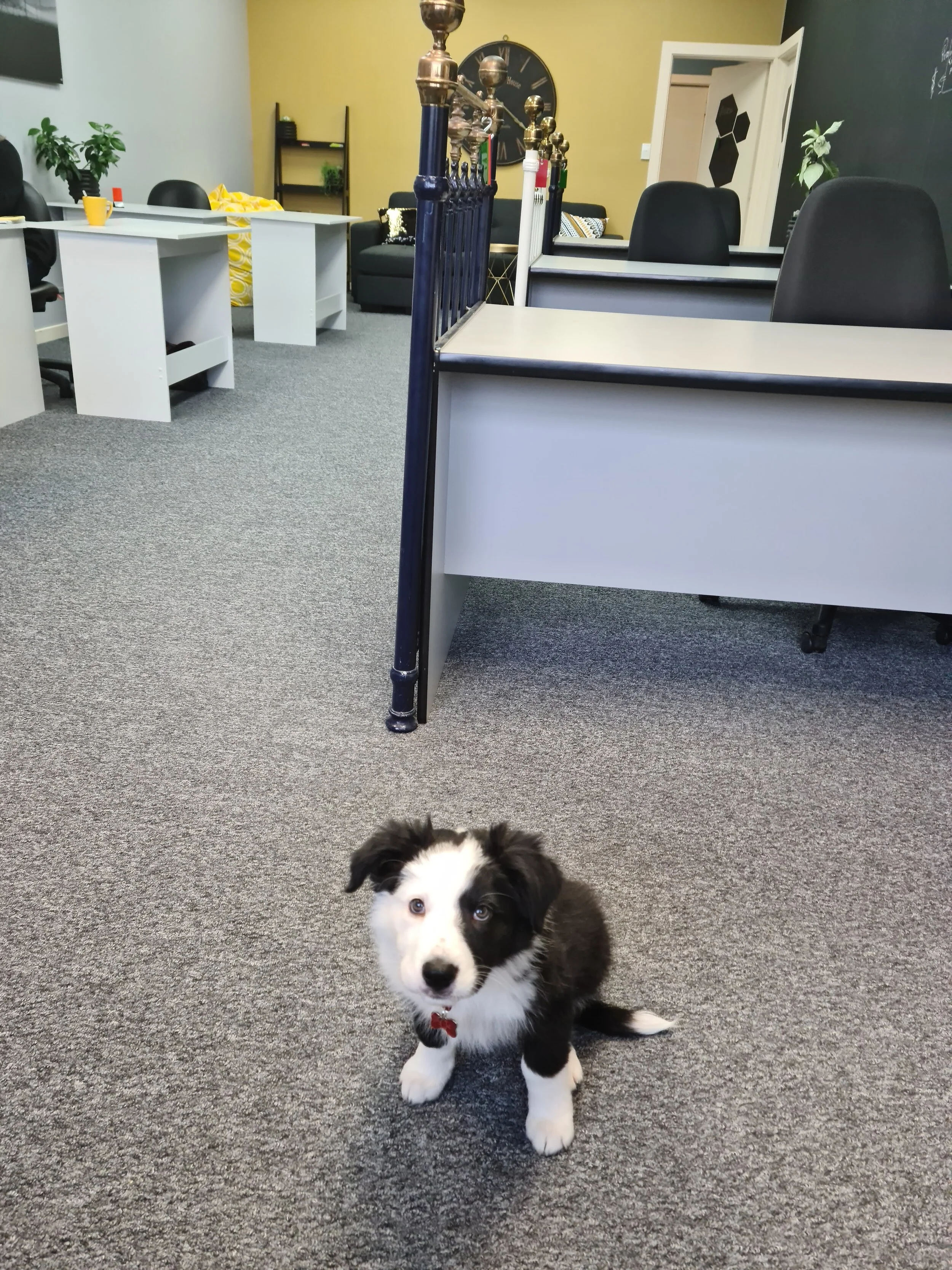 We need your help... to find a new member of our team!