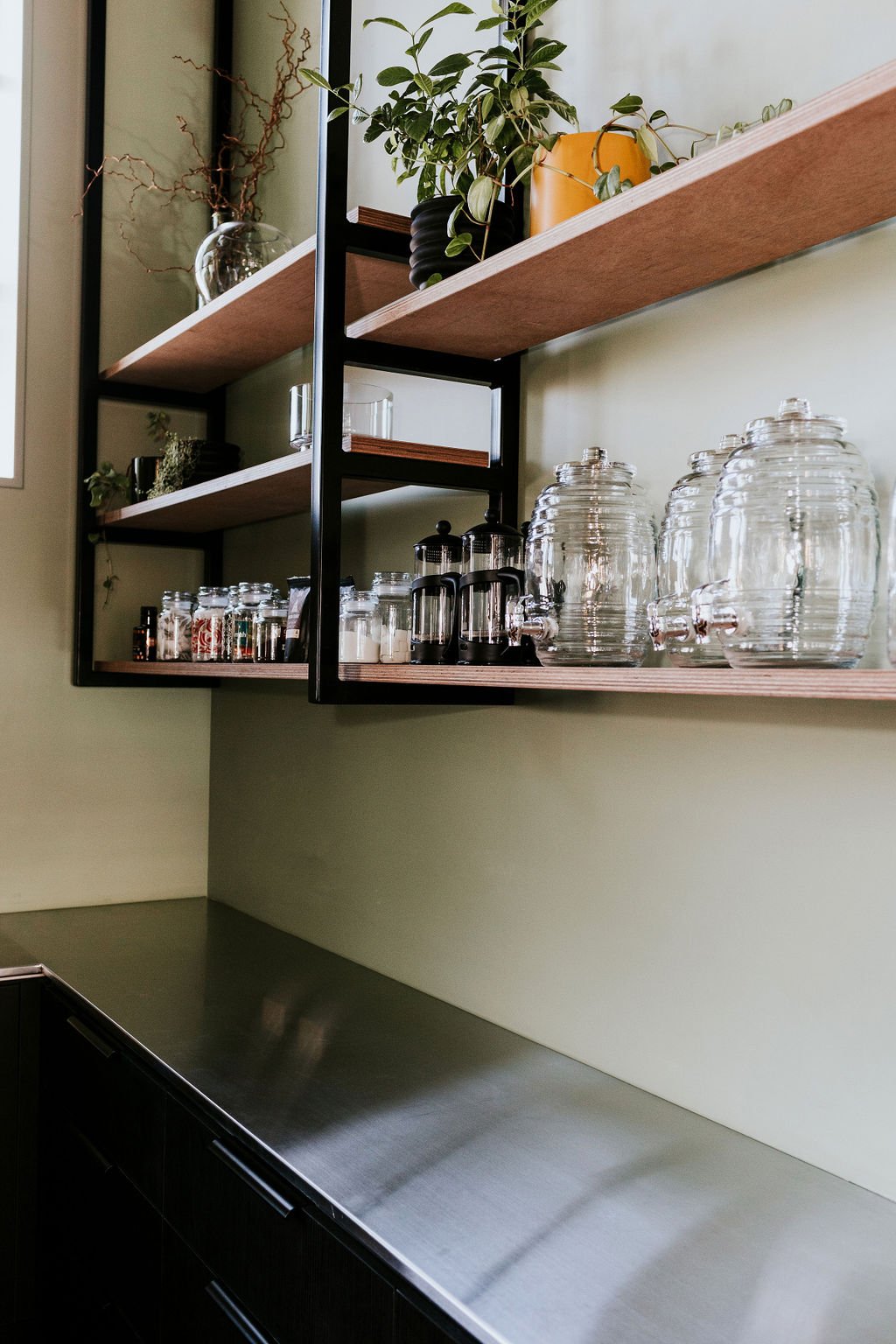 Complementary tea and coffee in jars on wooden shelves with a pot plant, two coffee plungers and three glass drink dispensers against a light green wall