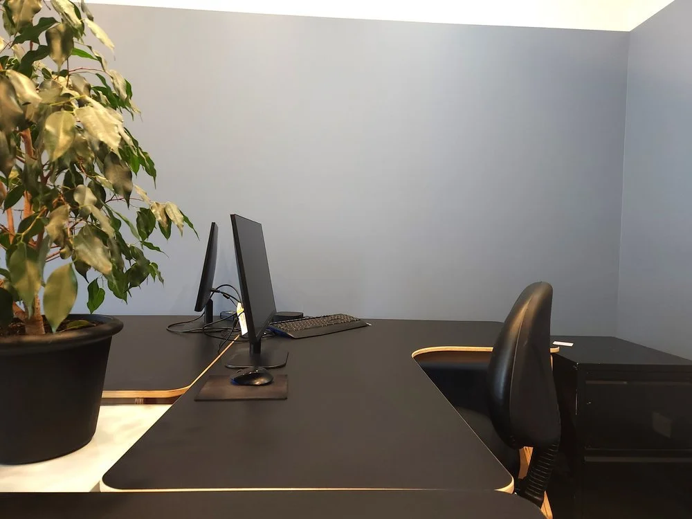 Empty office workspace with a potted plant, two computer monitors, keyboard, mouse, and a black office chair against a light blue wall.