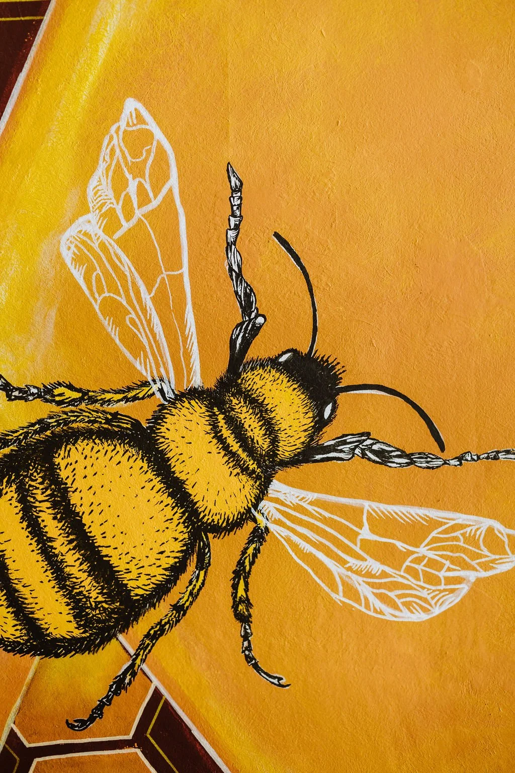 Close-up of a bee mural at The Business Hive coworking space in Oamaru featuring a large bee and the edge of a honeycomb