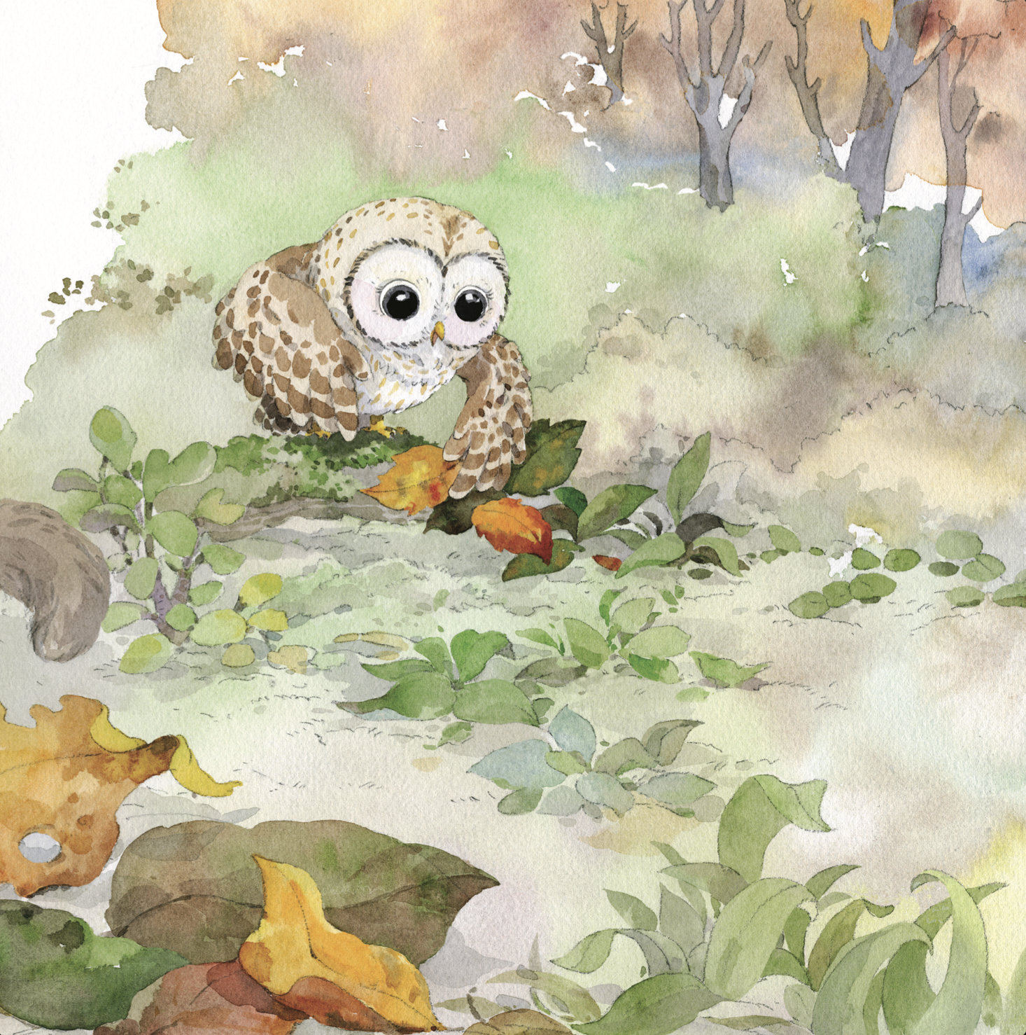 Watercolor illustration of a cute owl with large eyes perched on the ground surrounded by green plants and autumn leaves, with trees in the background.