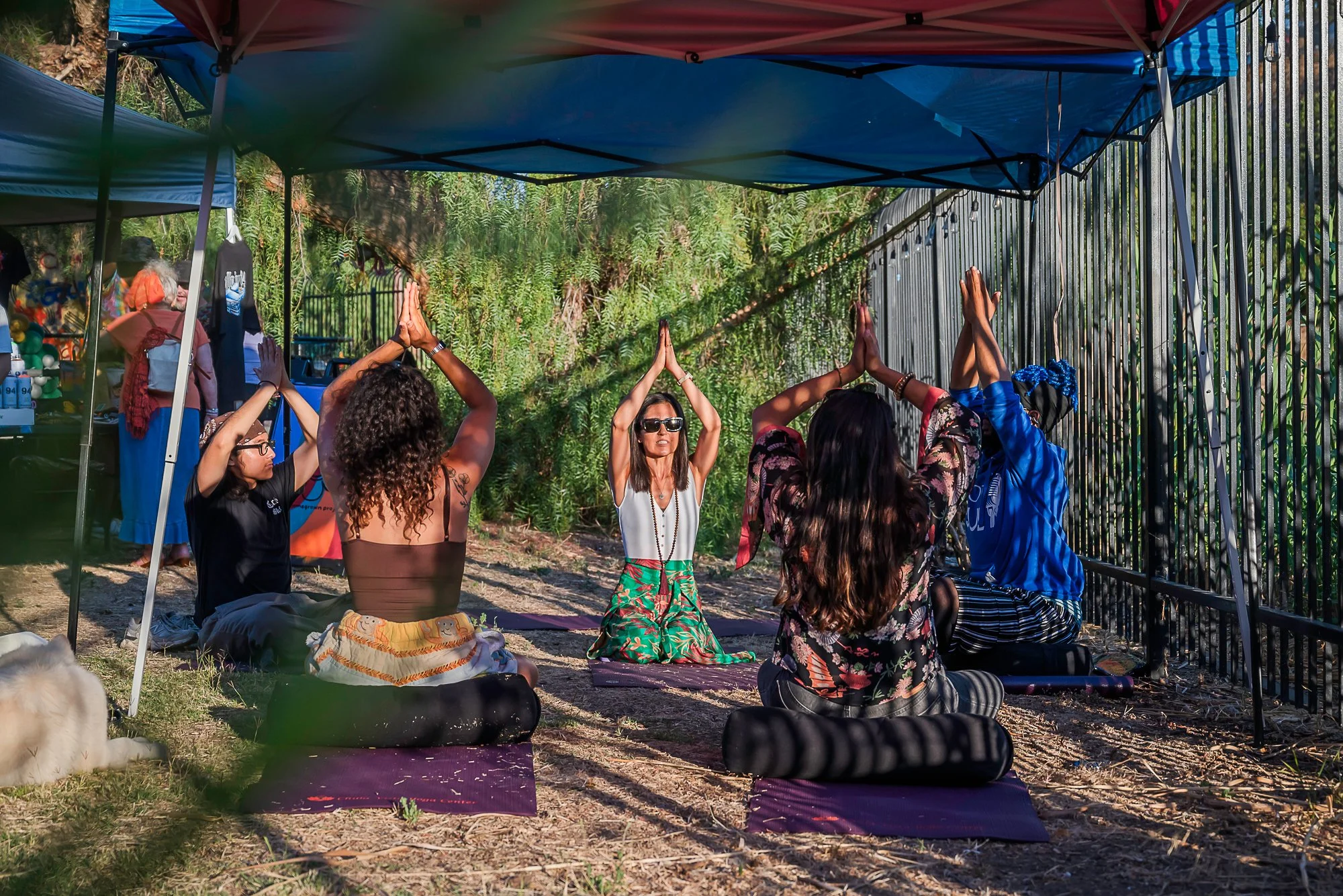 vito di stefano 7-20-24-68.jpg