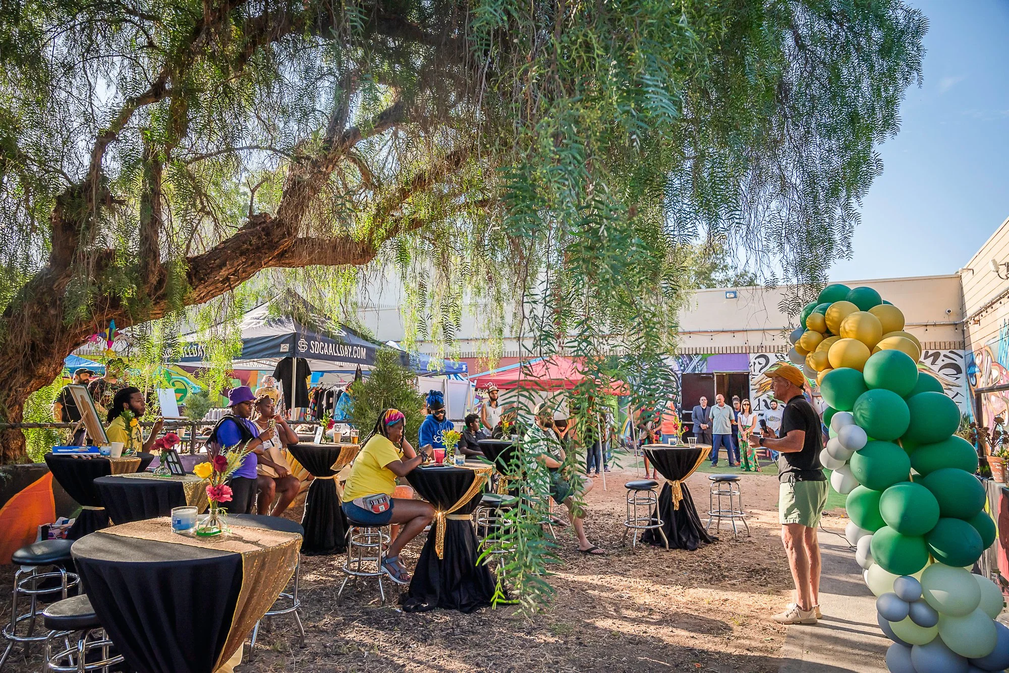 vito di stefano 7-20-24-24.jpg