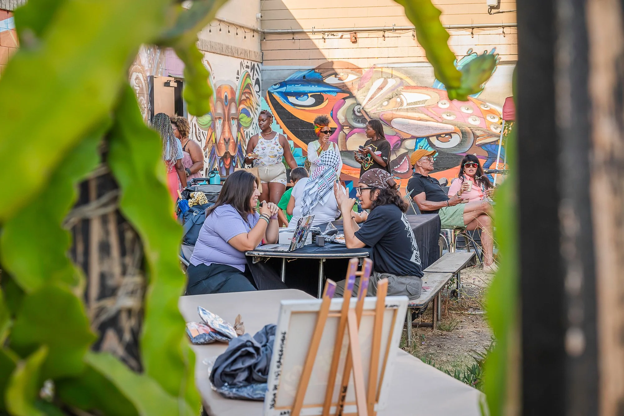 vito di stefano 7-20-24-49.jpg