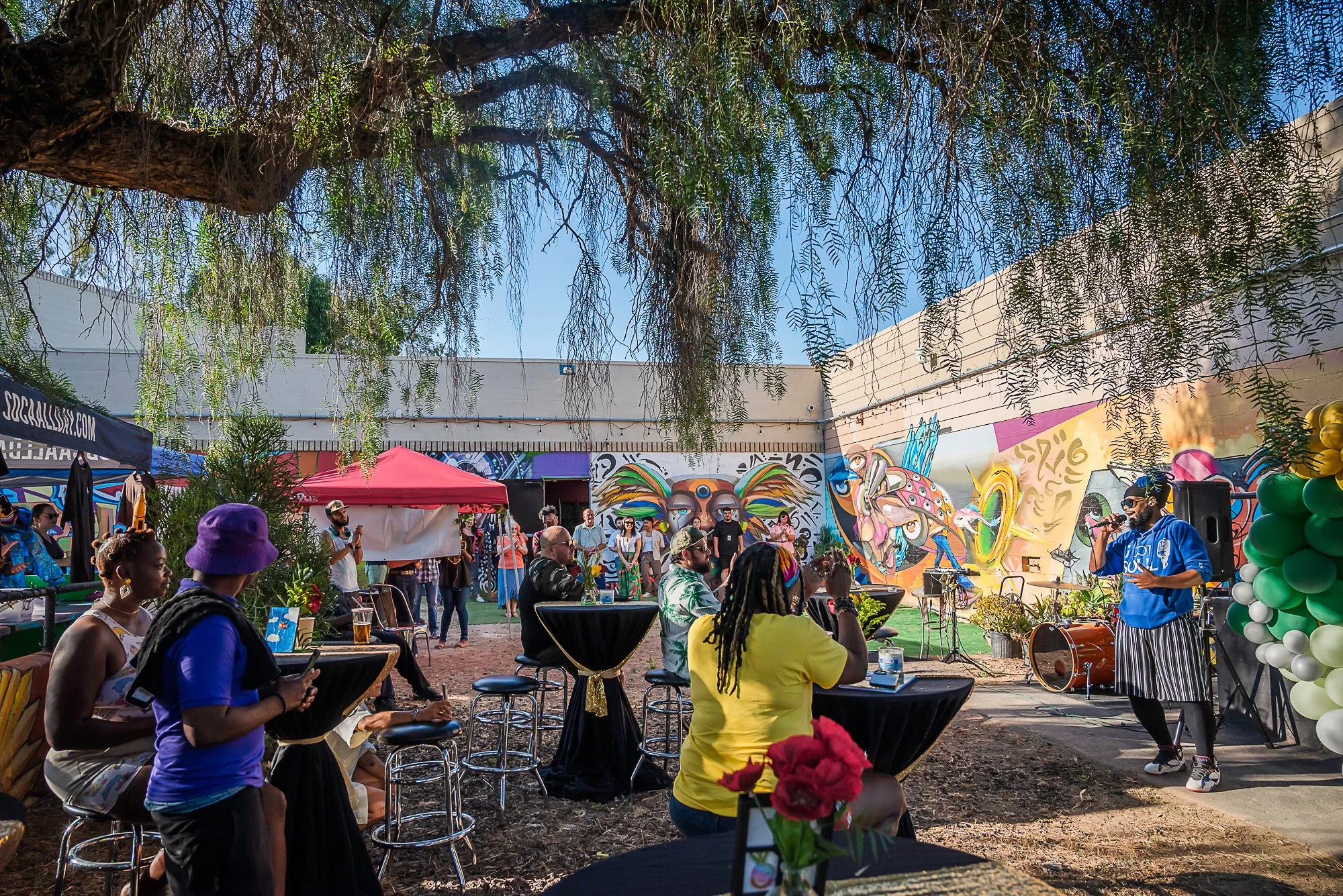 vito di stefano 7-20-24-22.jpg