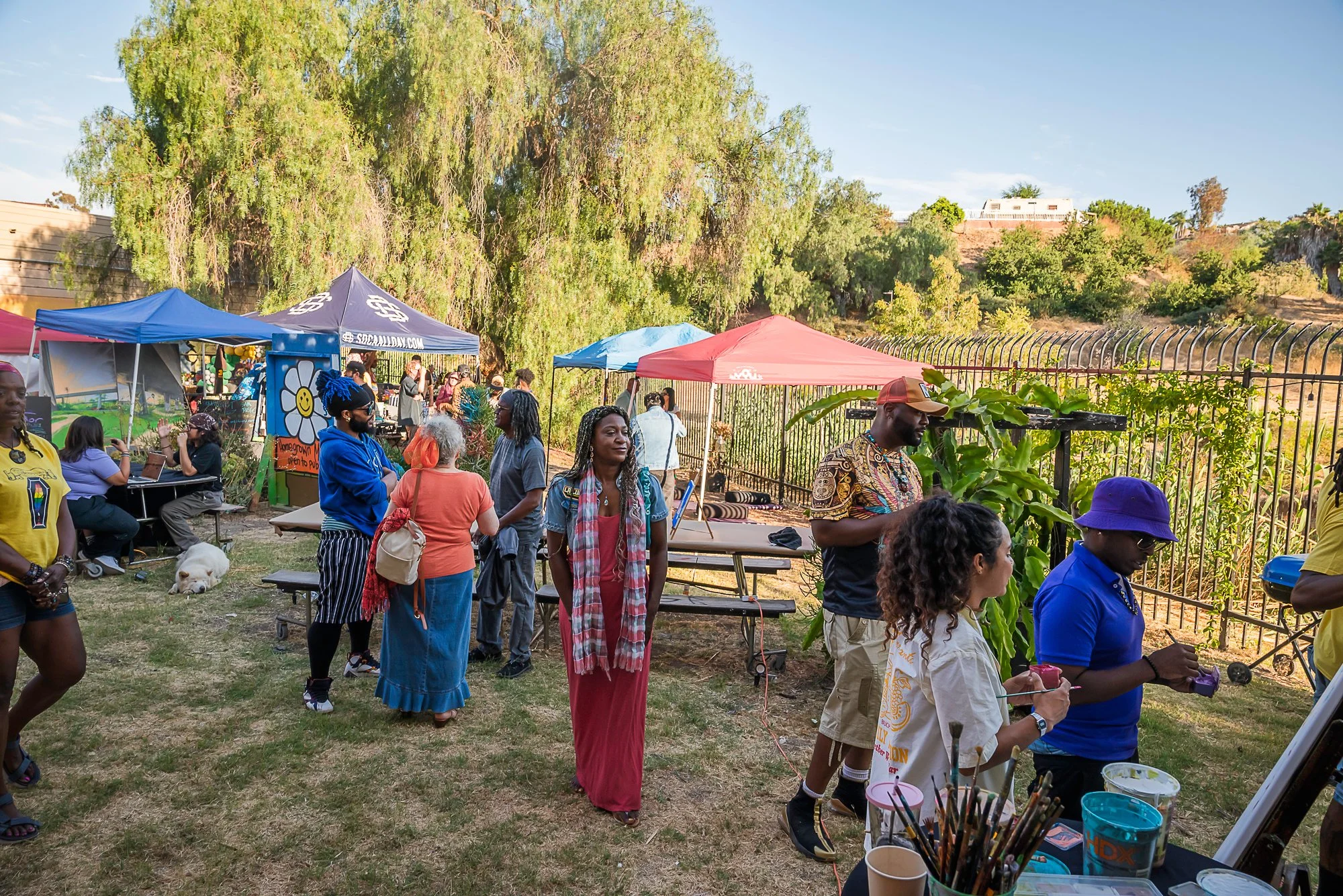 vito di stefano 7-20-24-43.jpg