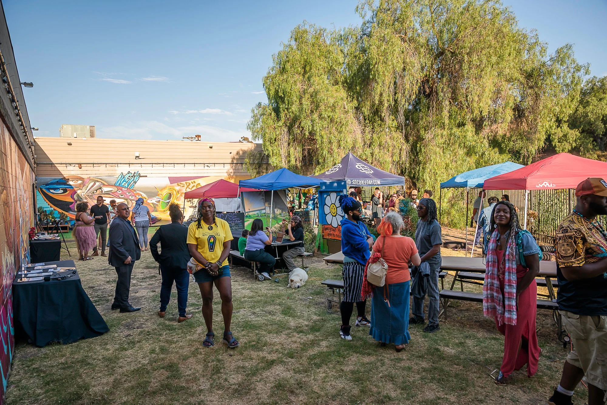 vito di stefano 7-20-24-42.jpg