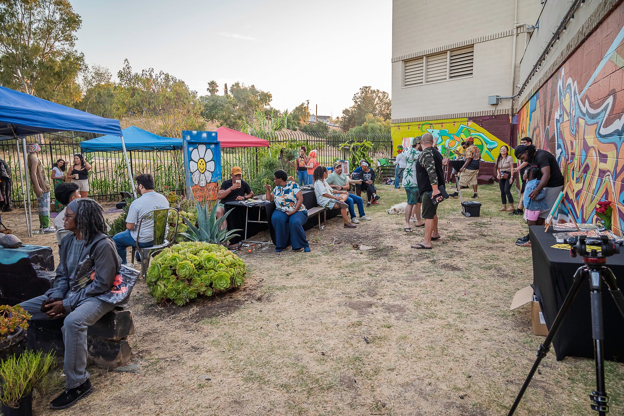 vito di stefano 7-20-24-83.jpg