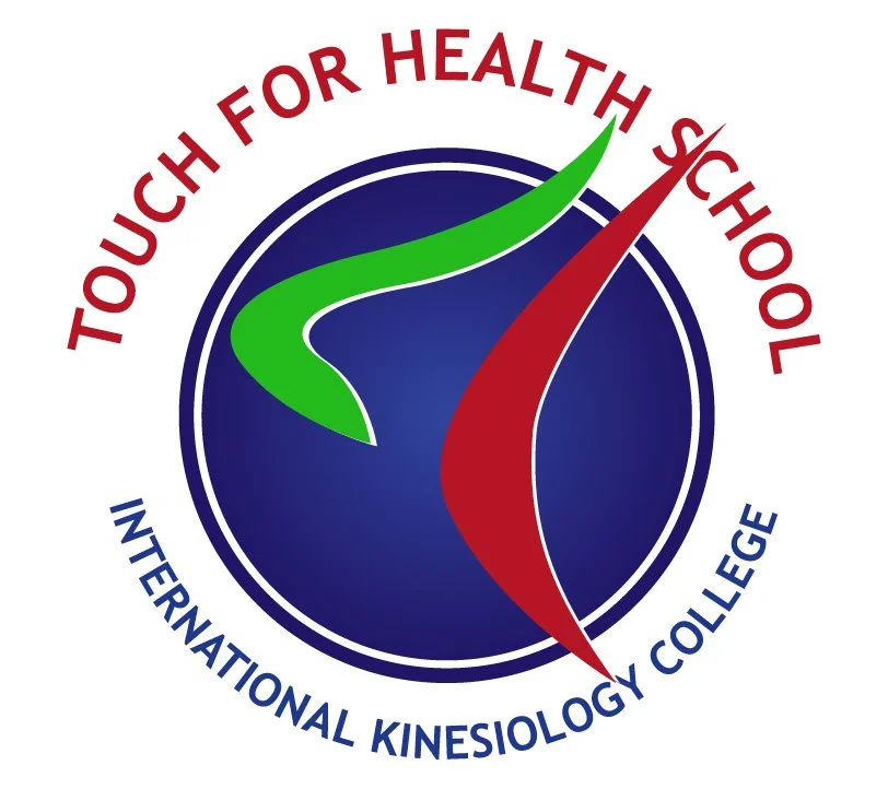 Logo of Touch for Health School at International Kinesiology College featuring a circular design with a green and red abstract human figure and the text "Touch for Health School" in red and "International Kinesiology College" in blue.
