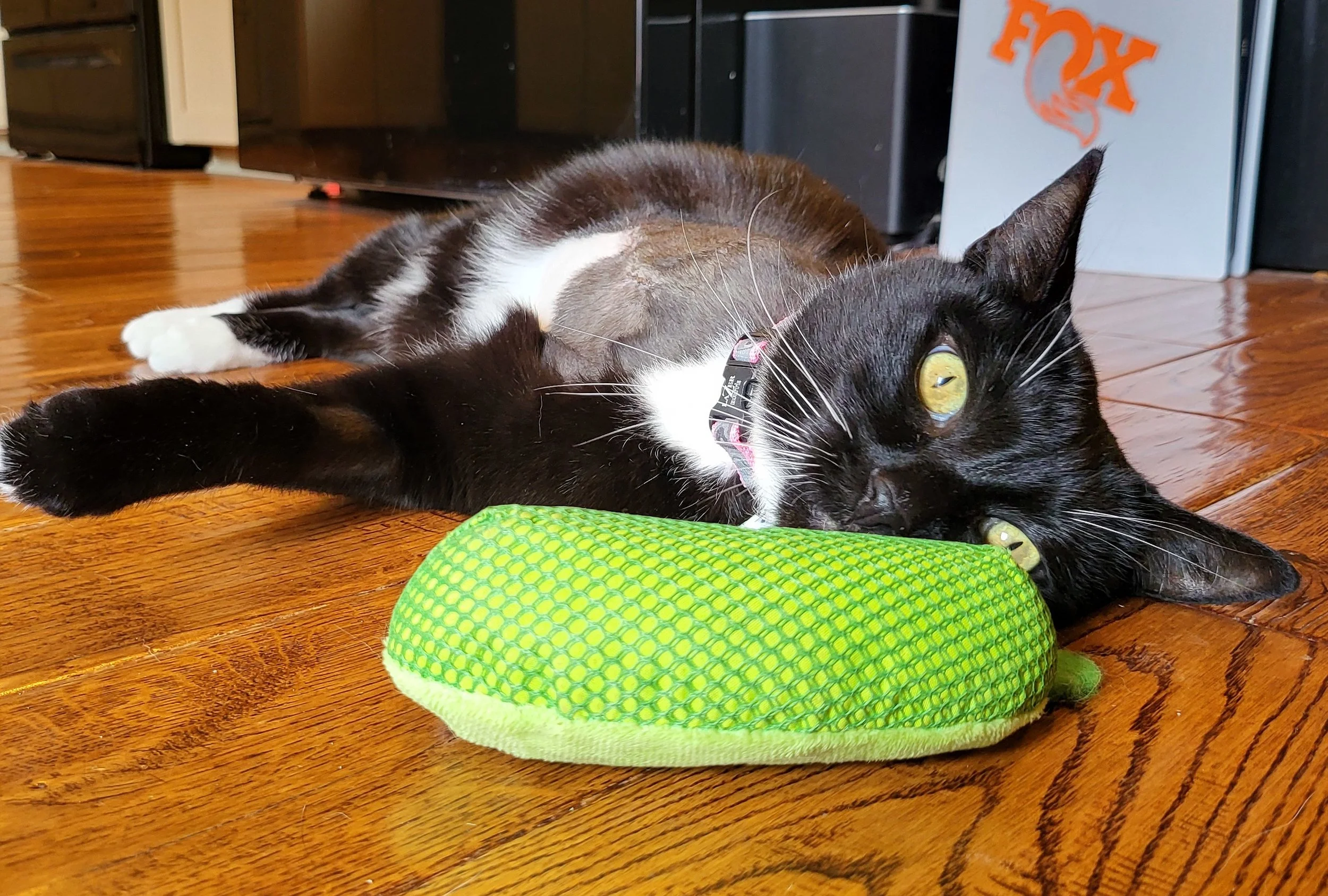Jade playing with pickle toy.jpg