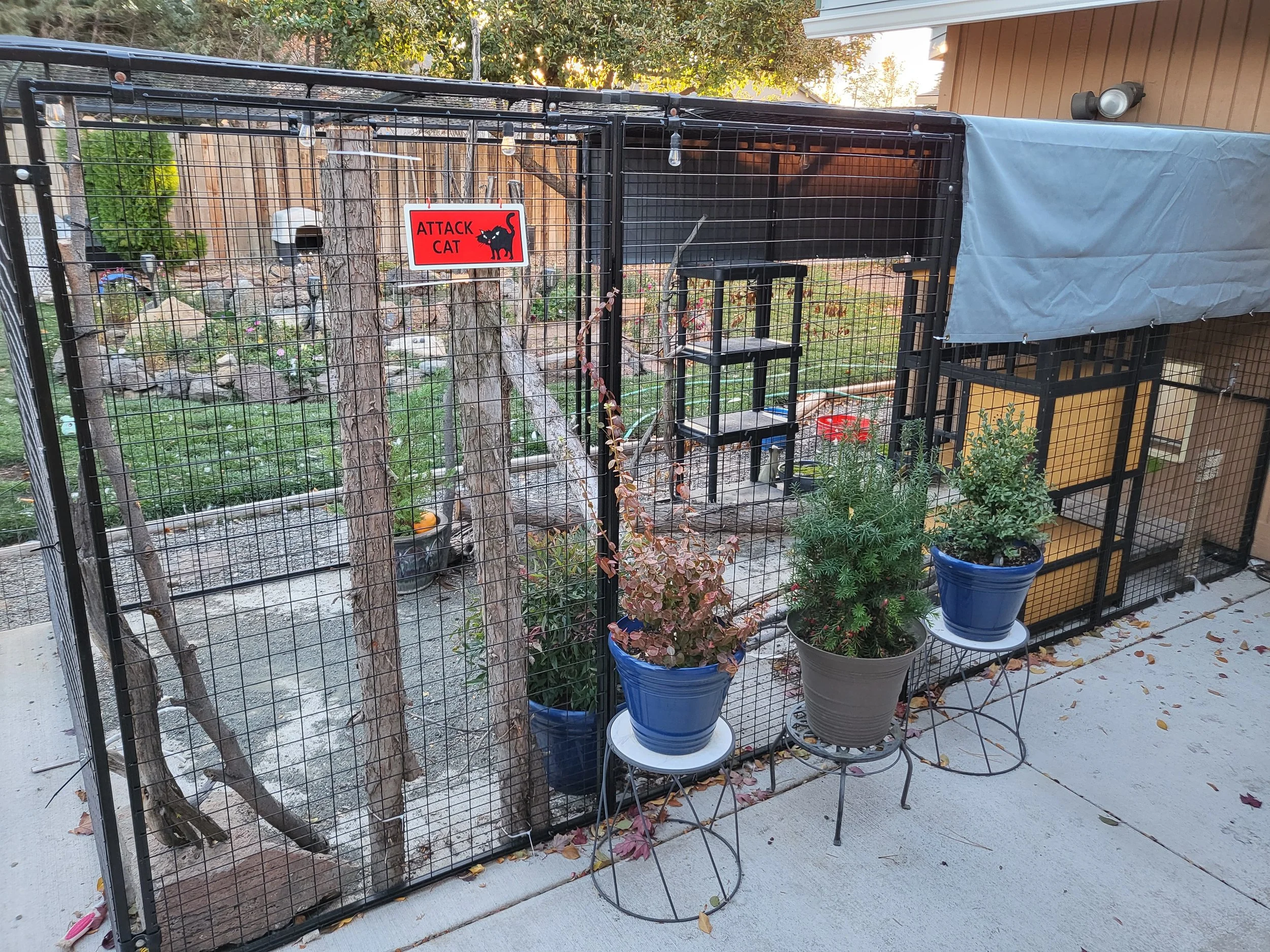 Giving Cats the Outdoors—Safely, Comfortably, and With Heart