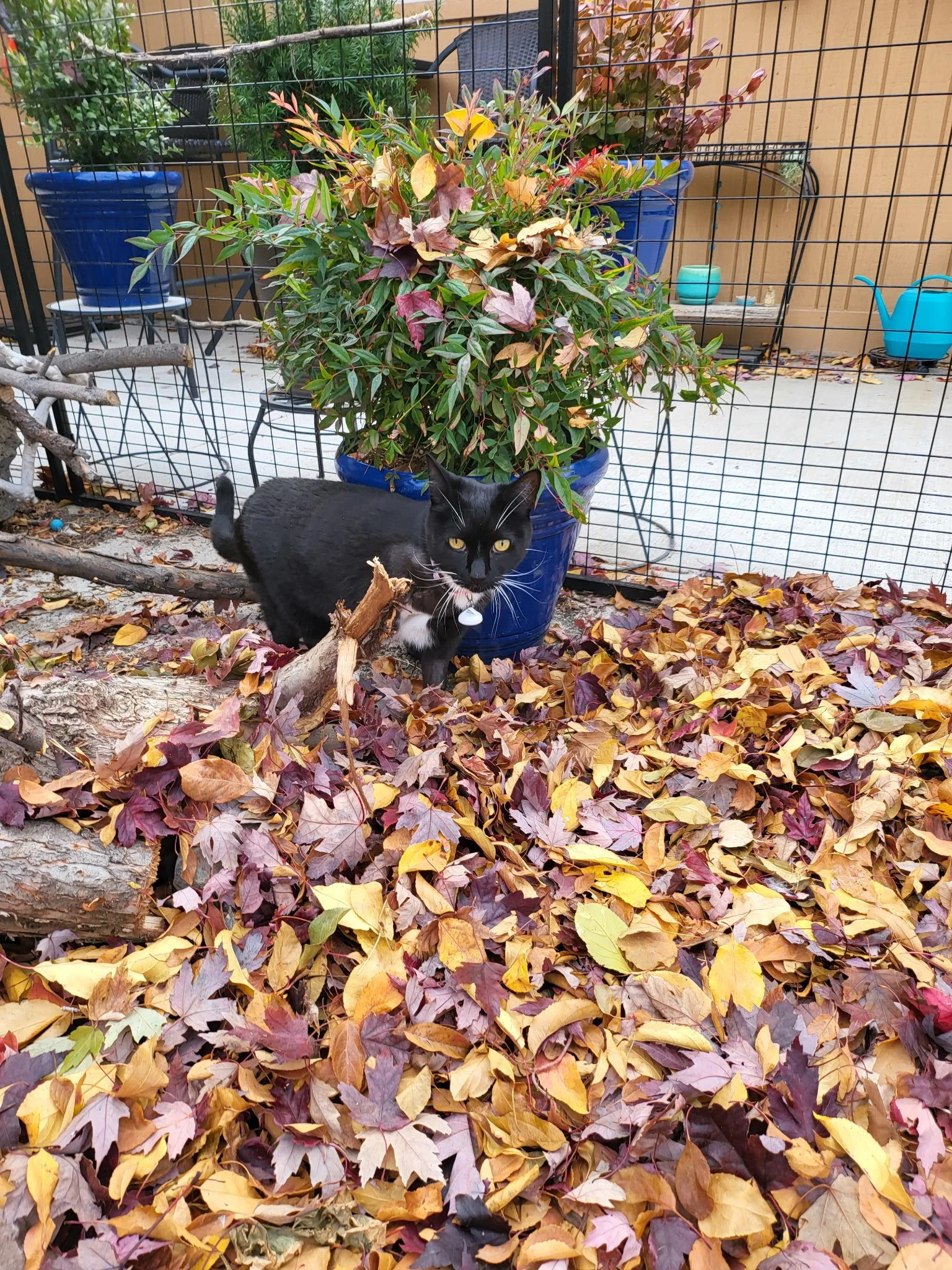 A Season That Reminds Us What We Stand For❄️