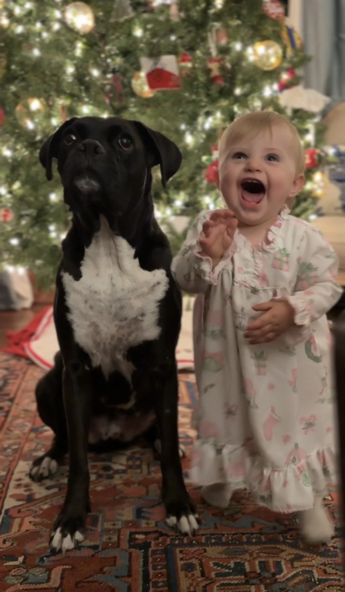 7 - Reflecting on 2025 with Cradle &amp; Kin