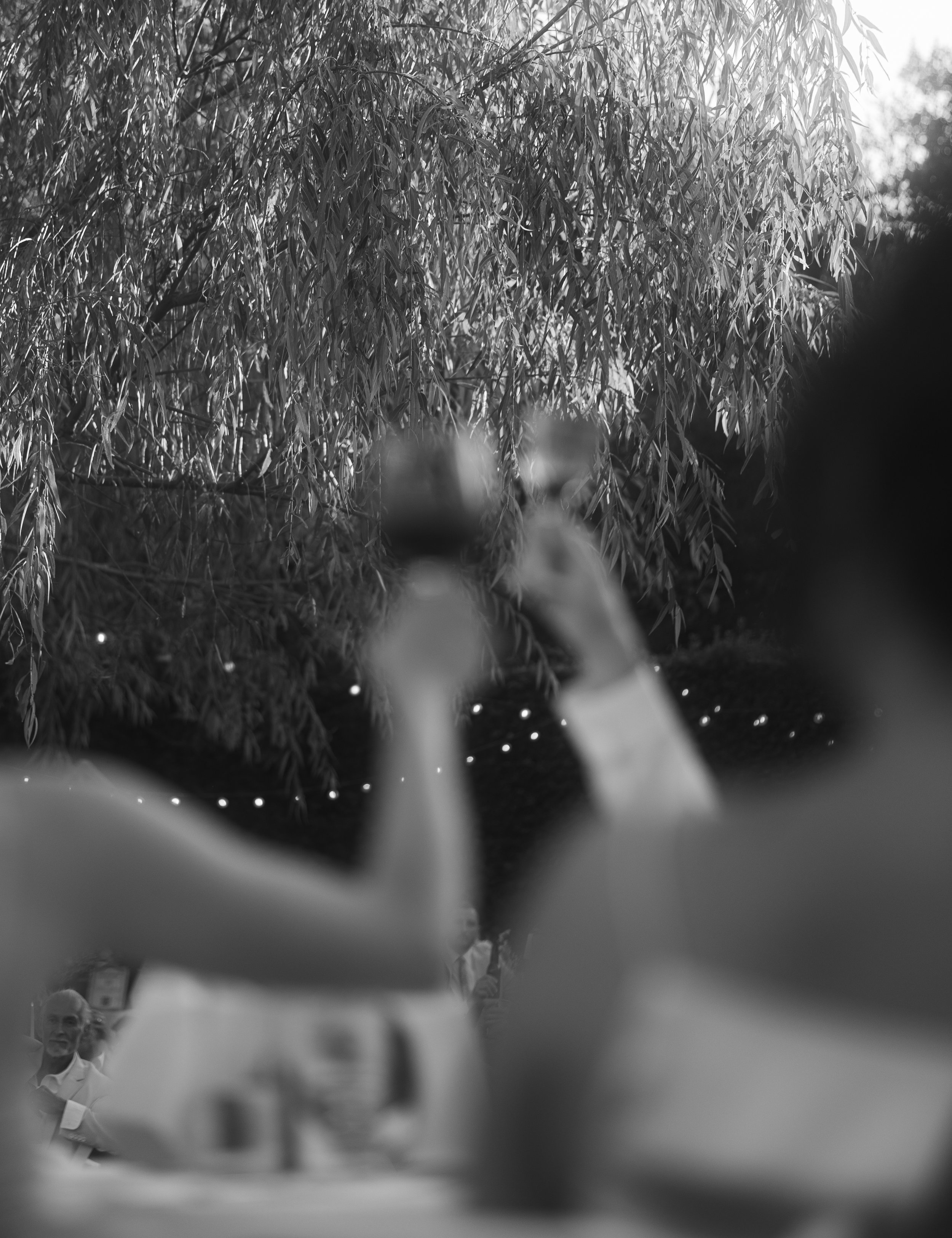 Blurred foreground of people toasting with drinks at an outdoor gathering, with trees and string lights in the background.