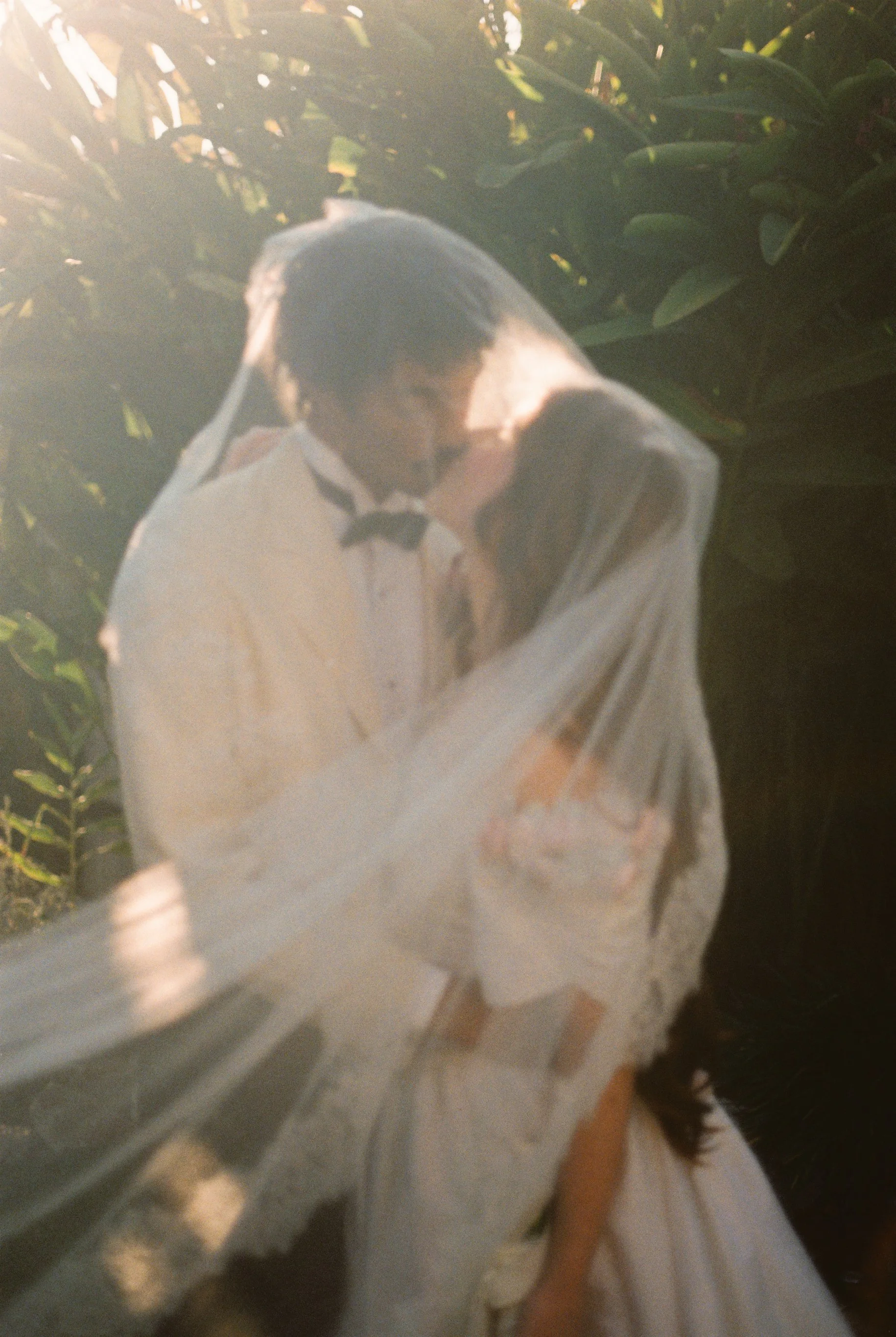 A bride and groom sharing a kiss outdoors, with sunlight shining behind them, surrounded by lush green plants.