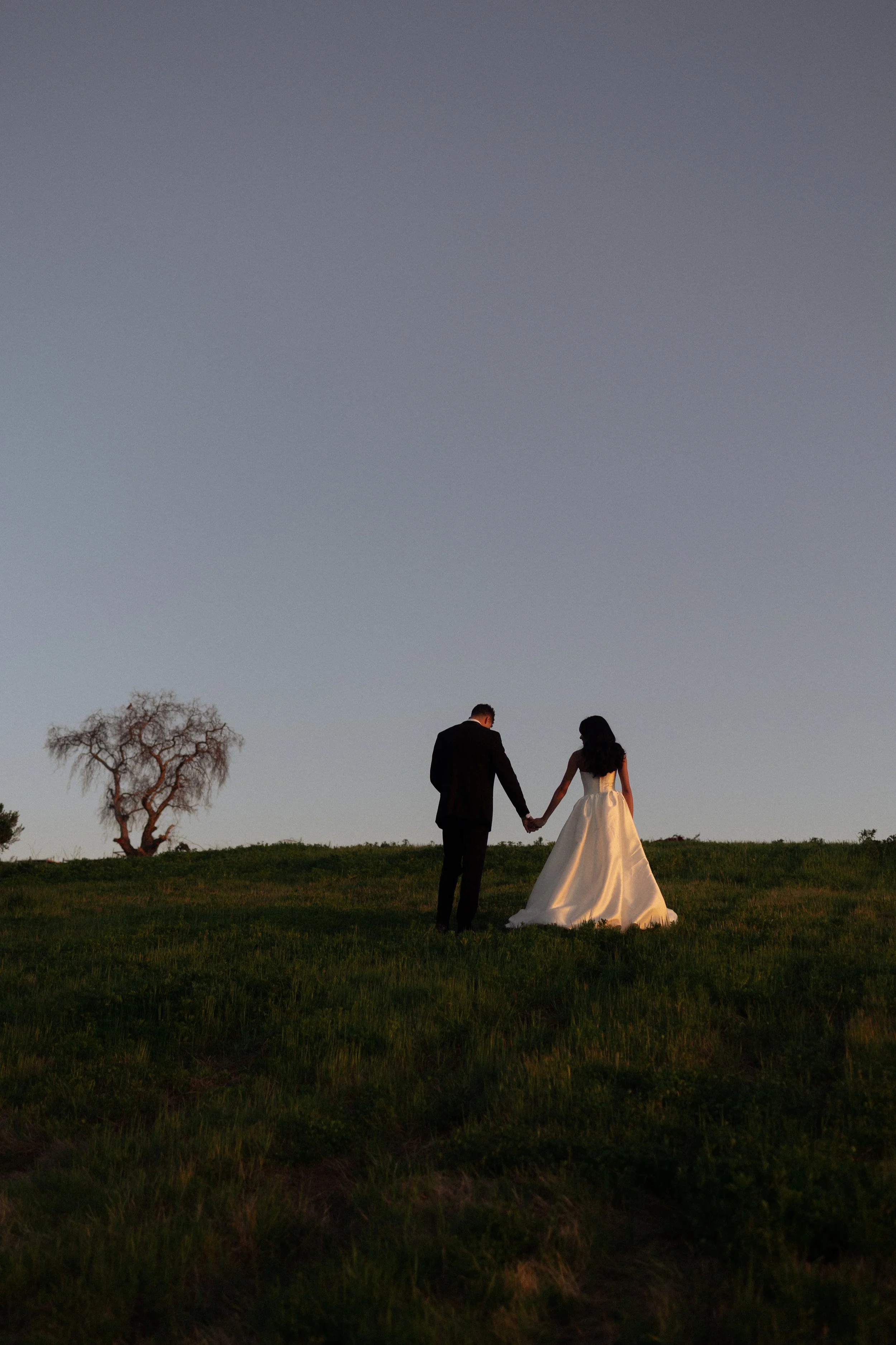 A bride and groom holding hands on a grassy hill at sunset or twilight, with a tree in the background.