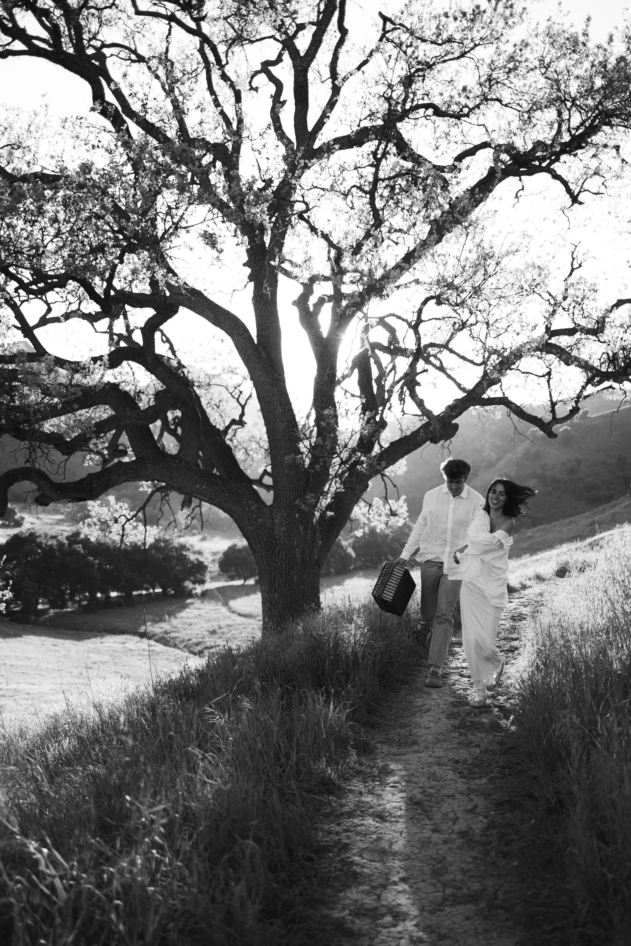 A black and white photo of a man and woman walking along a dirt path, smiling, under a large tree in a scenic countryside landscape, with a sunset or sunrise in the background. best wedding photographer in nyc