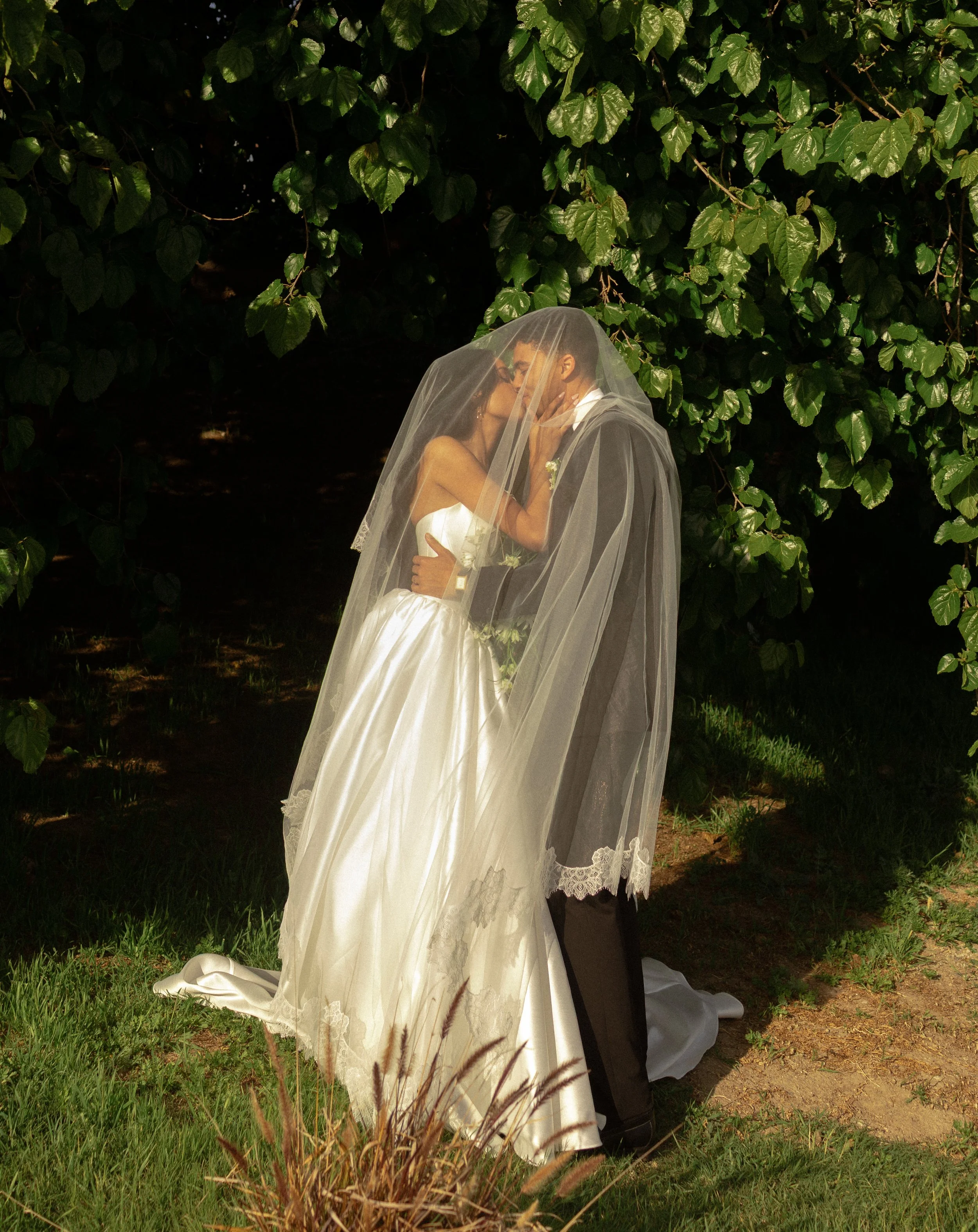 A bride and groom share a kiss outdoors beneath a tree with green leaves, with the bride's veil covering both of them.