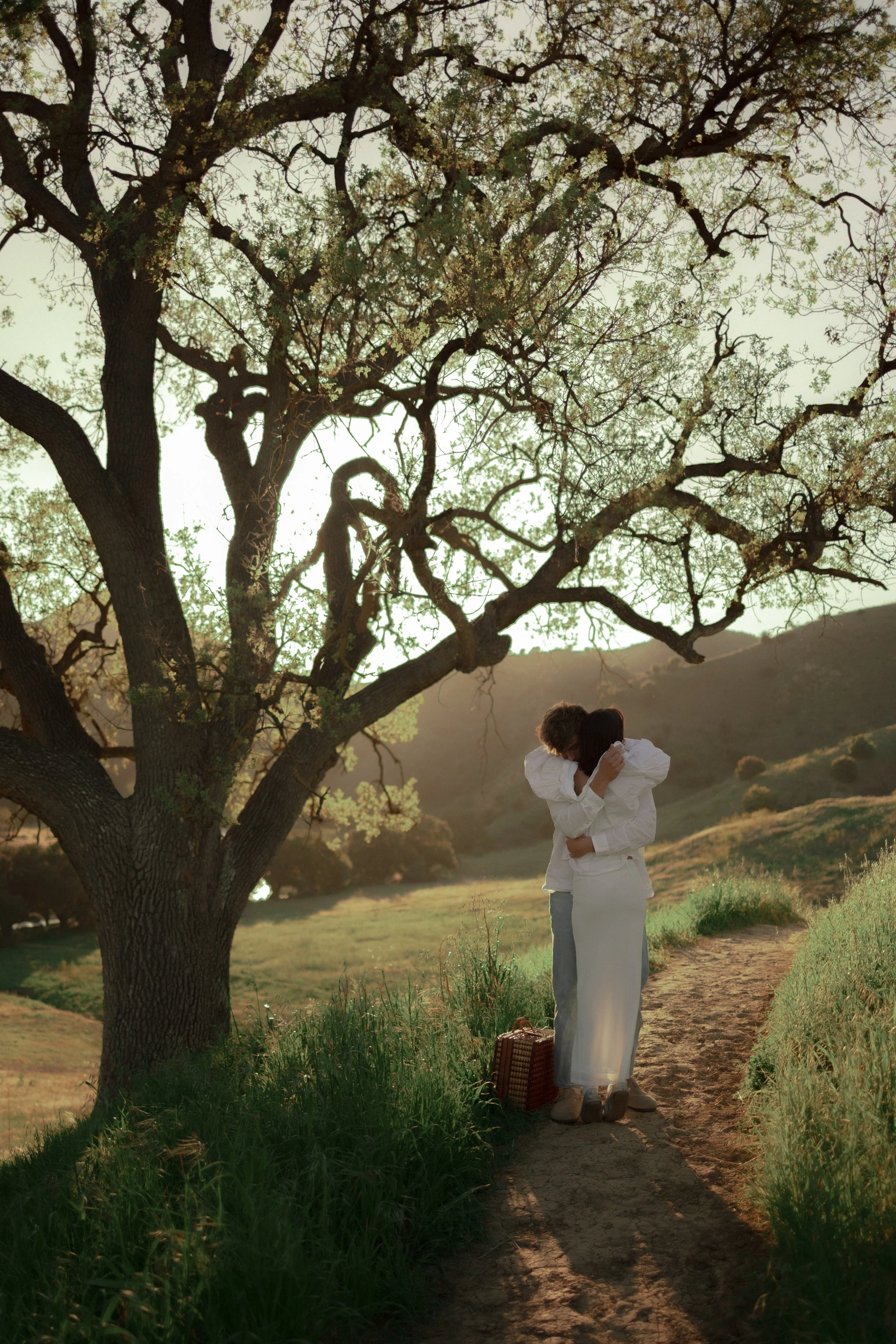 Two people hugging on a dirt path in a grassy landscape near a large tree, with hills in the background, during sunset.